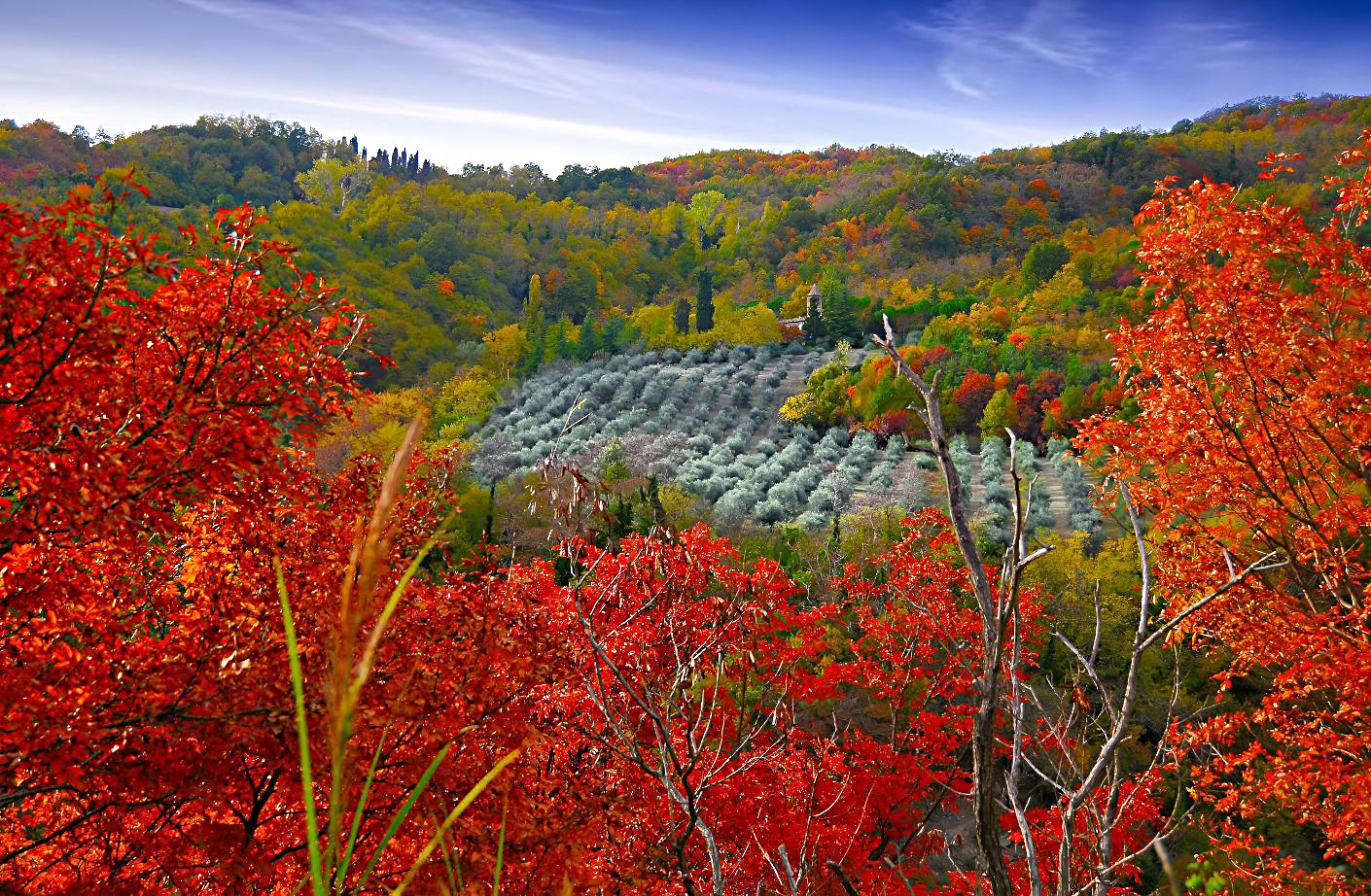 Autumn and Photoshop
