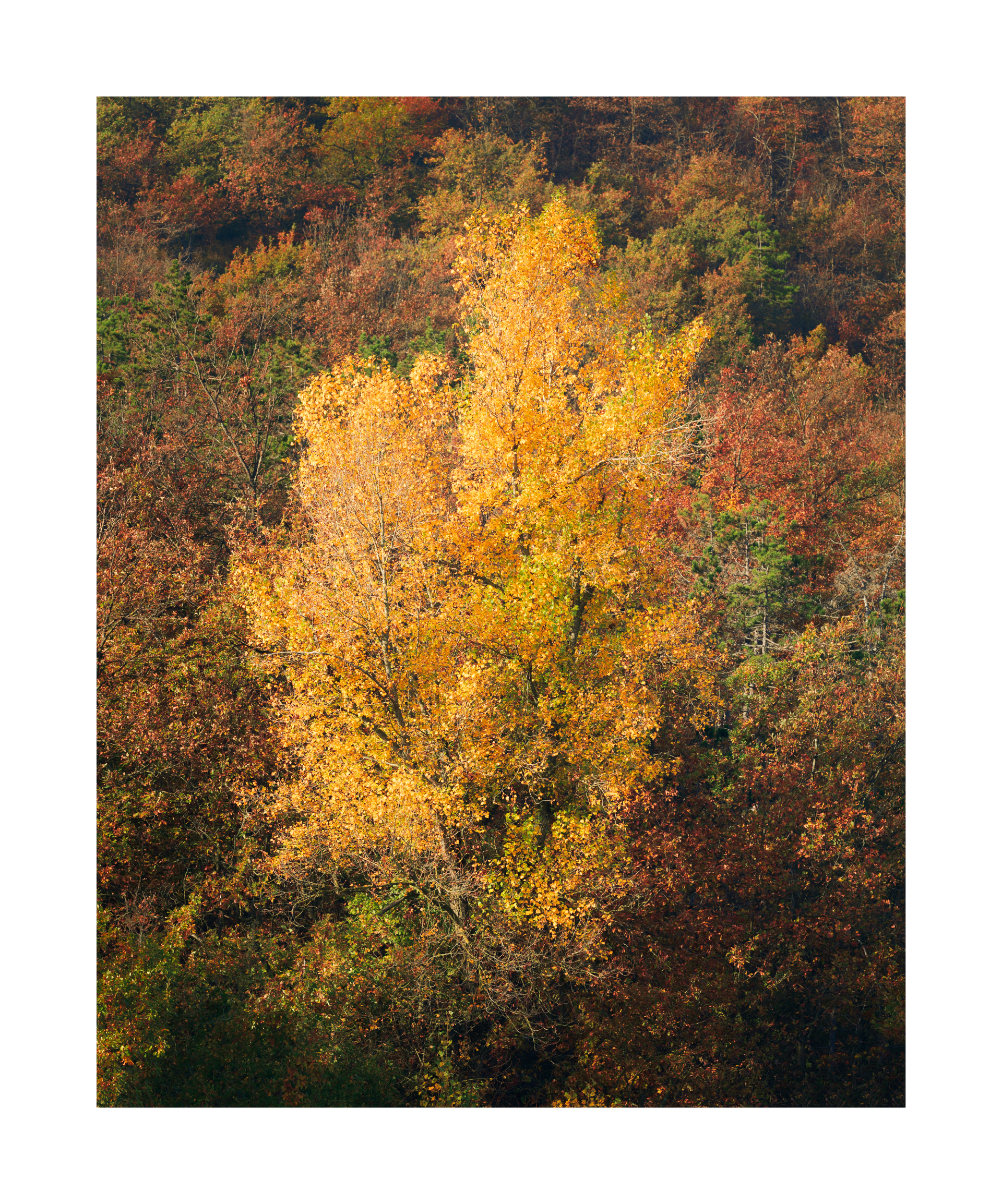 Untitled Photo