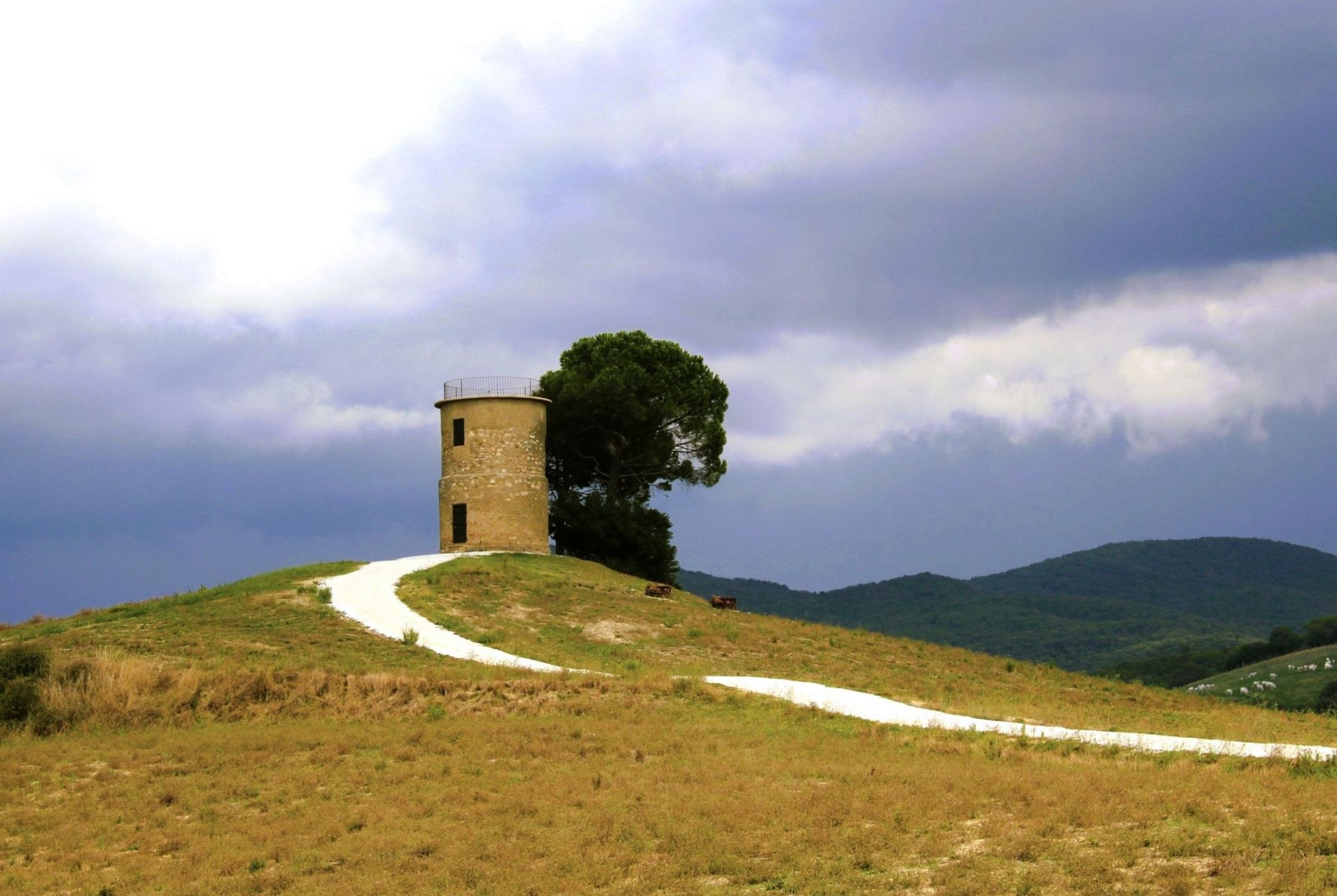 L'albero e il mulino