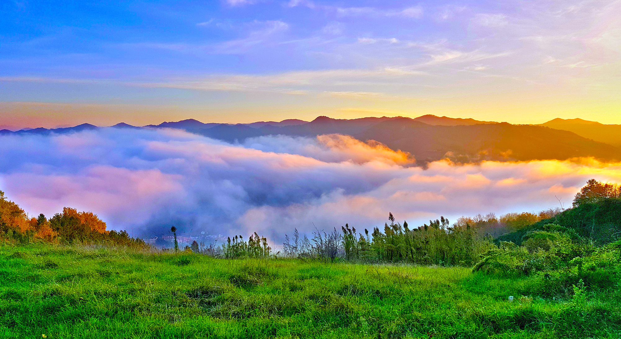 High fog