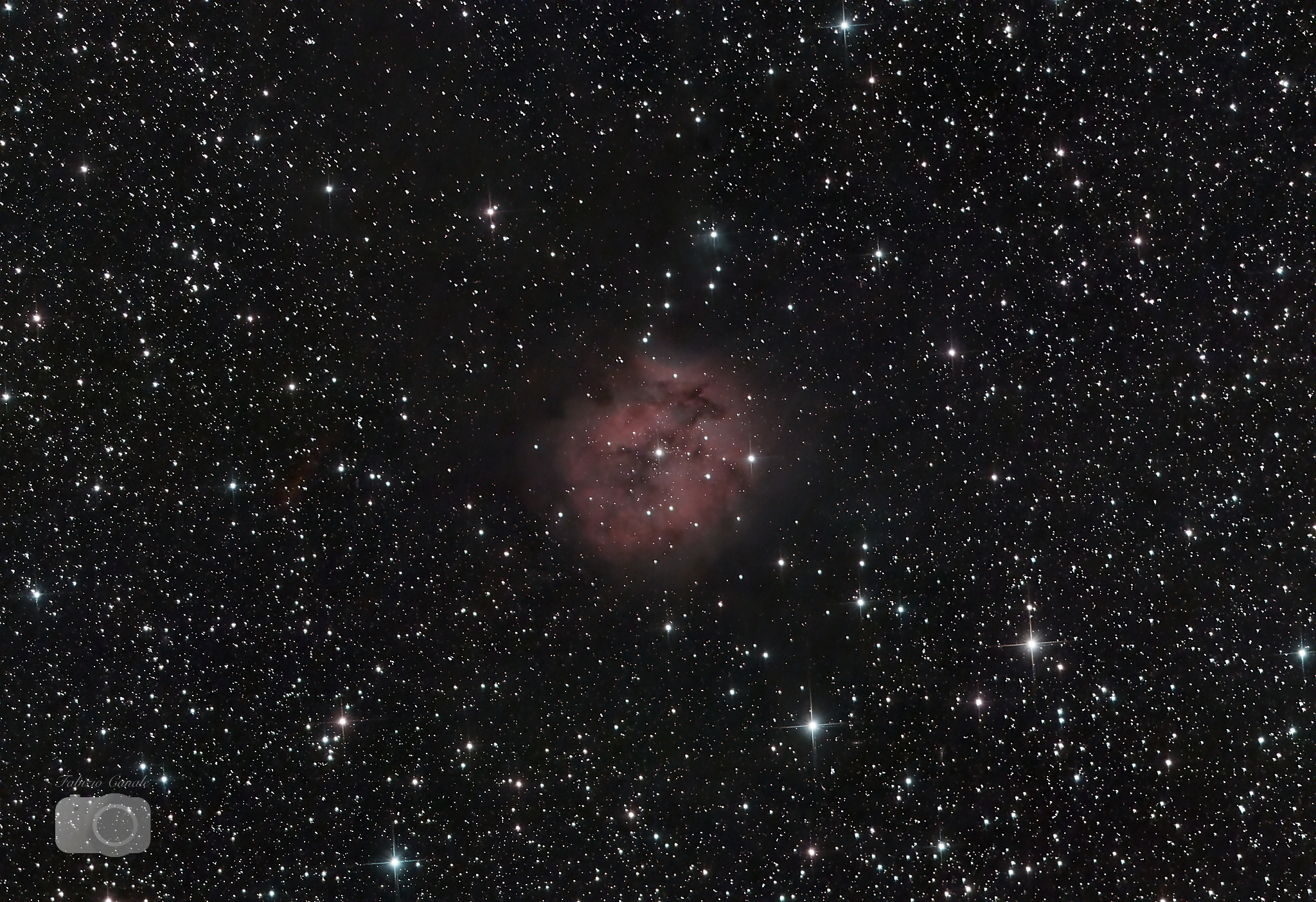 IC 5146 - Cocoon Nebula