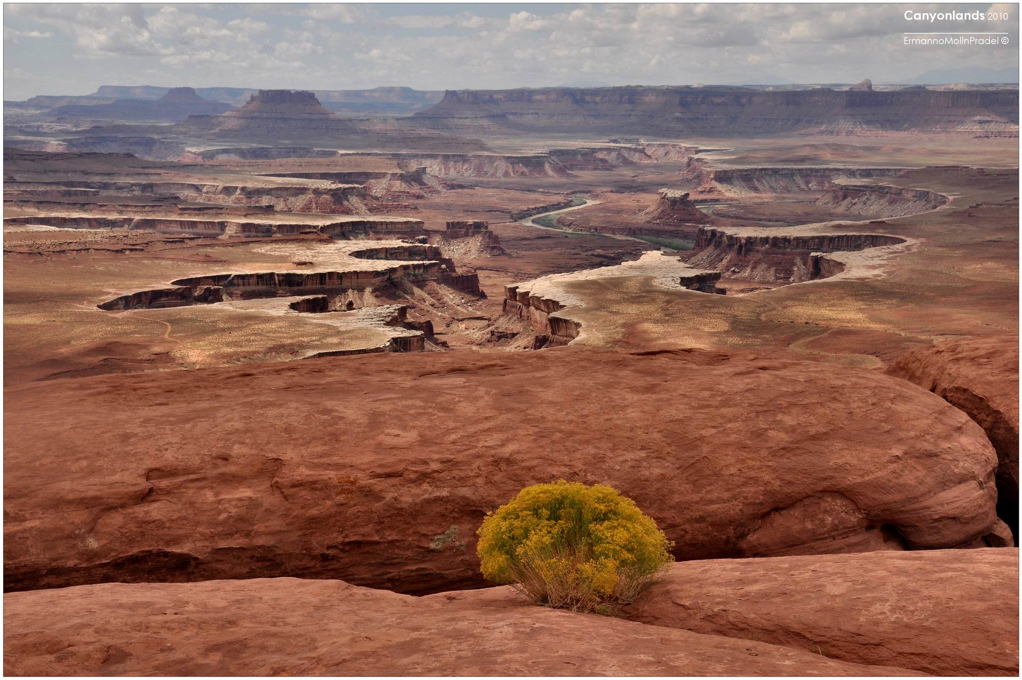 Green River Overlook in the Island in the Sky district