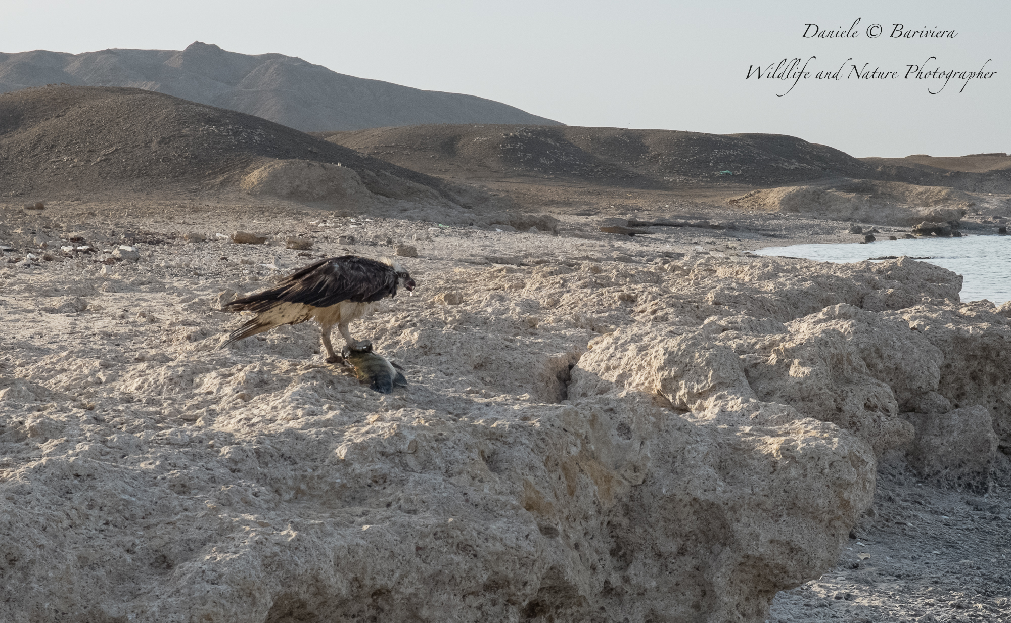 il pasto del pescatore