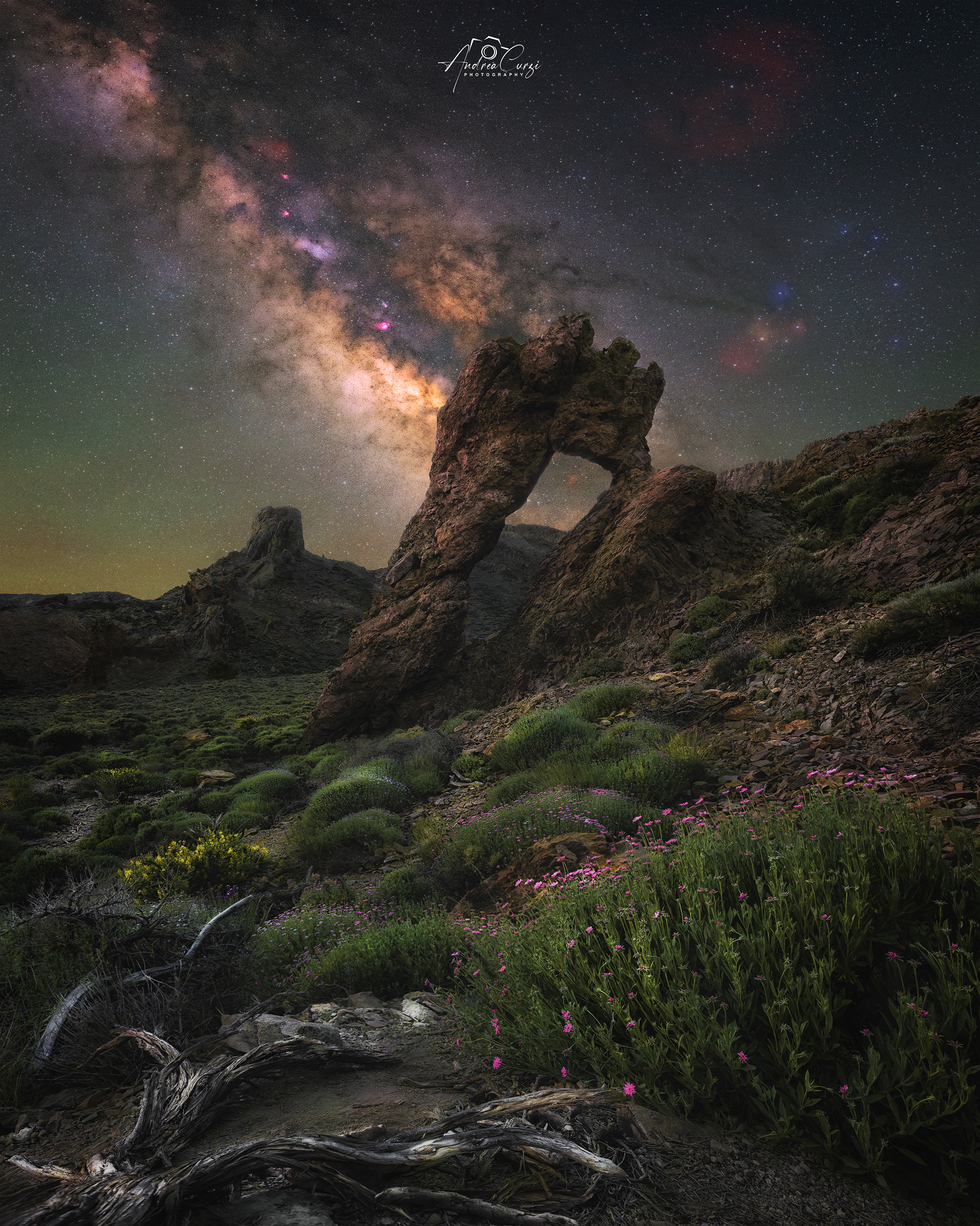 Cinderella Under The Stars