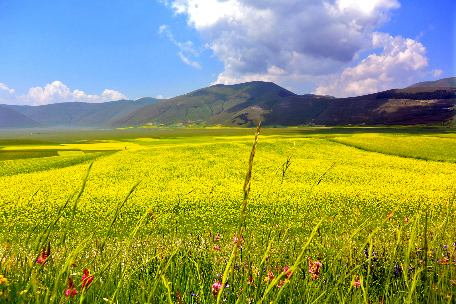 Sibillini