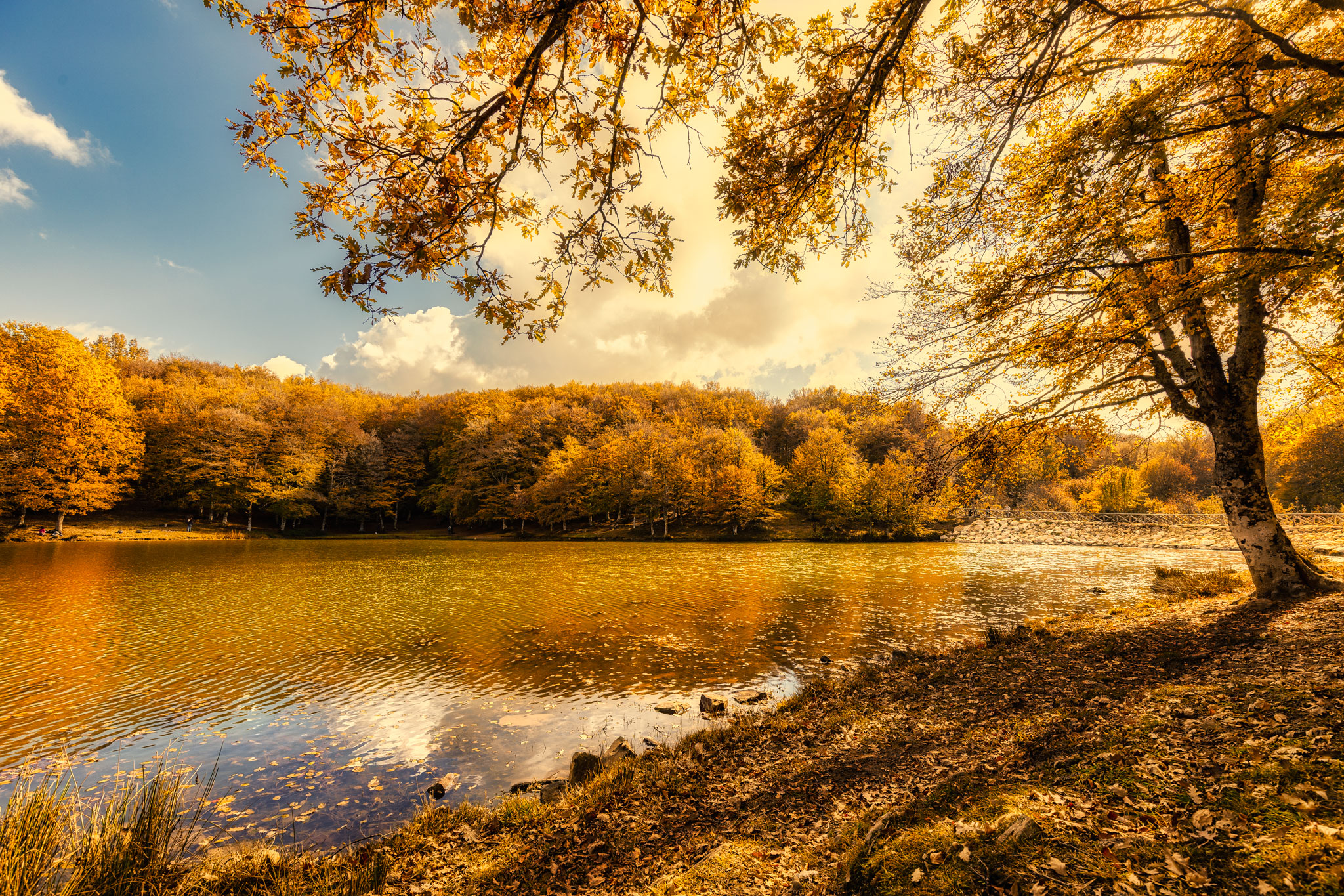 Il lago in autunno