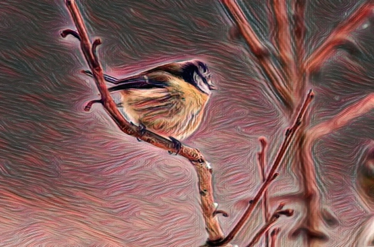 Red wind.