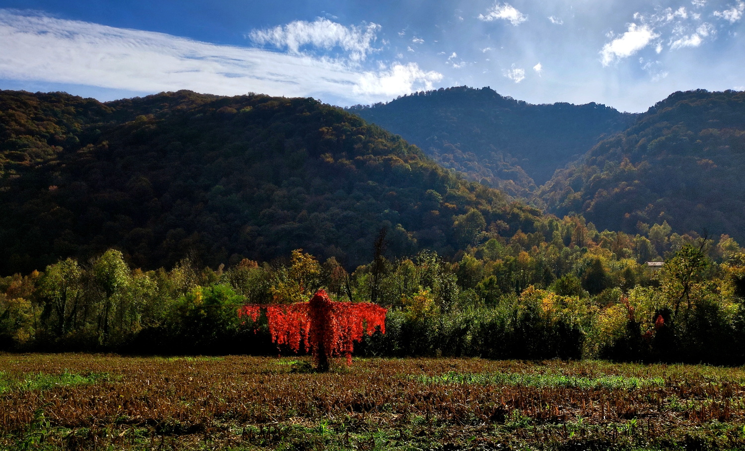 We wait for autumn with open arms