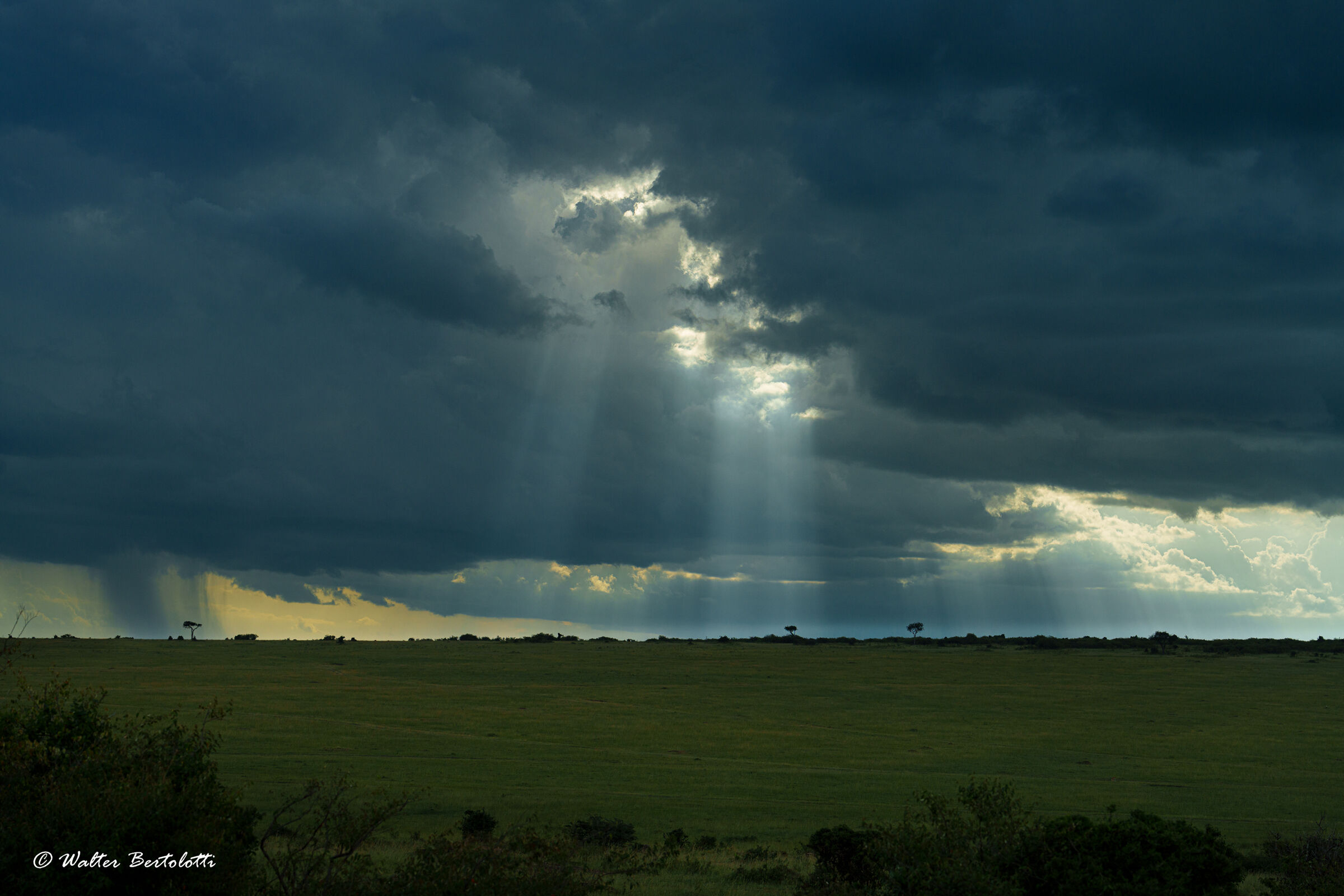 luce del Masai Mara