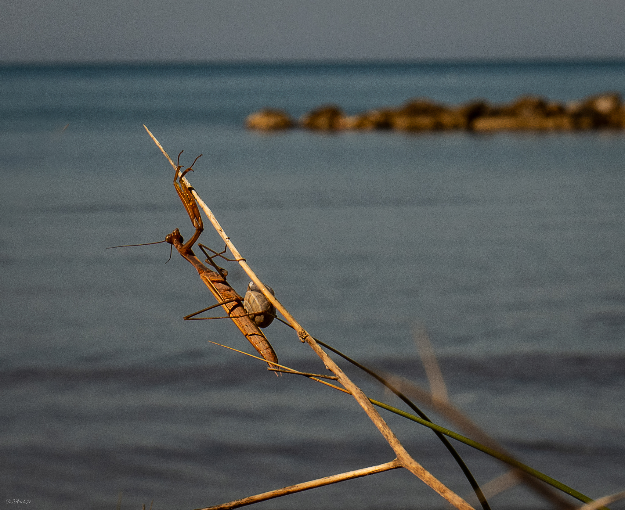 tutti rimangono affascinati dal mare....
