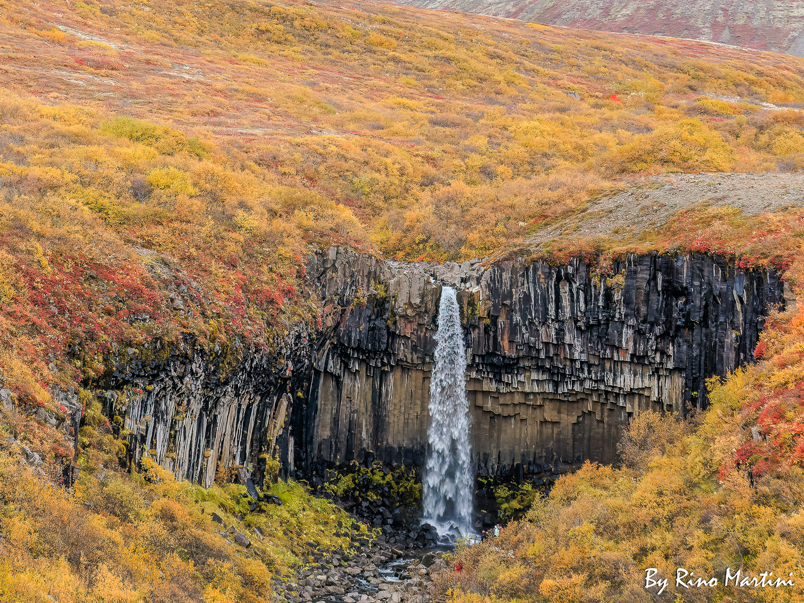 Iceland: Svartifoss in Autumn October 2023