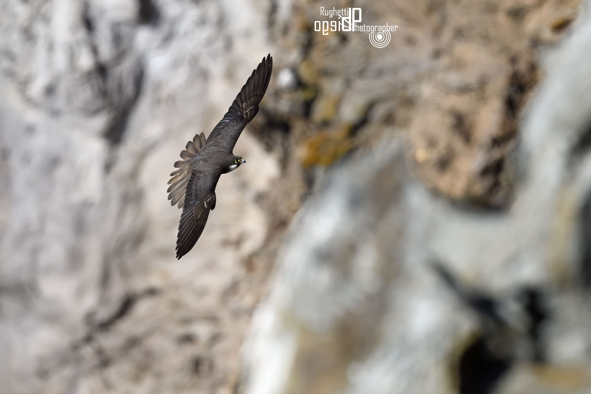 Glide