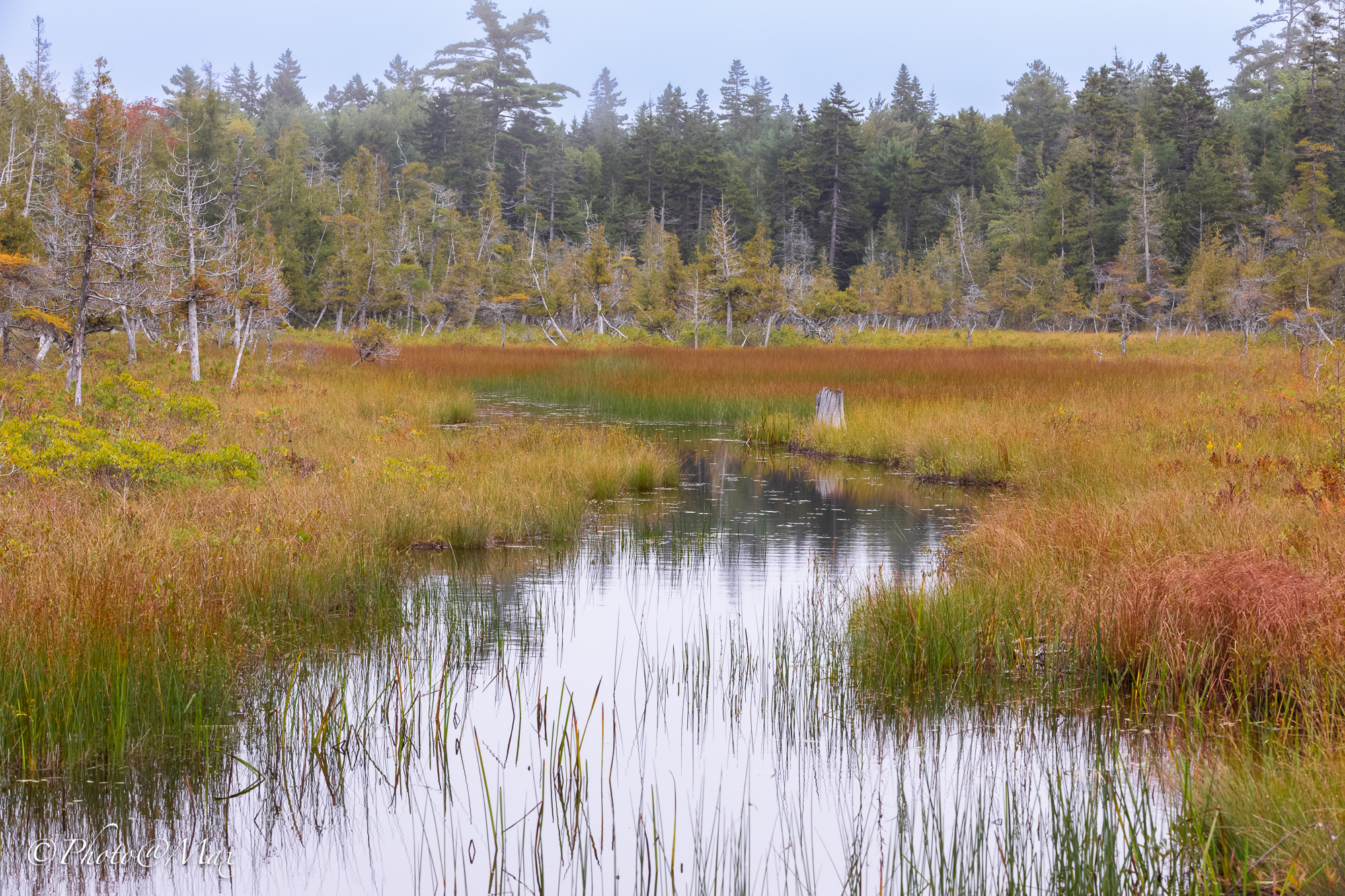 Acadia National Park, Maine