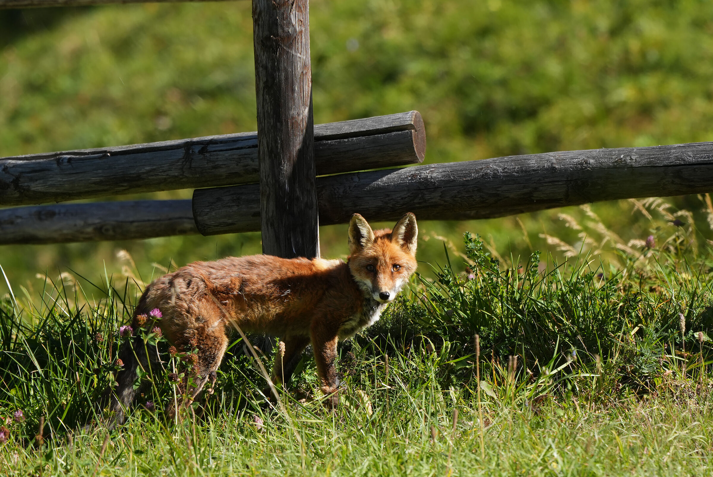 A good encounter