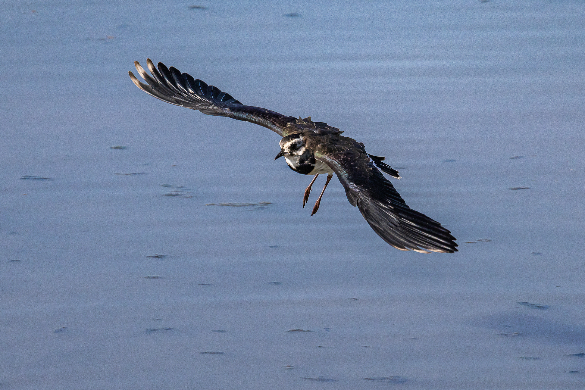 landing