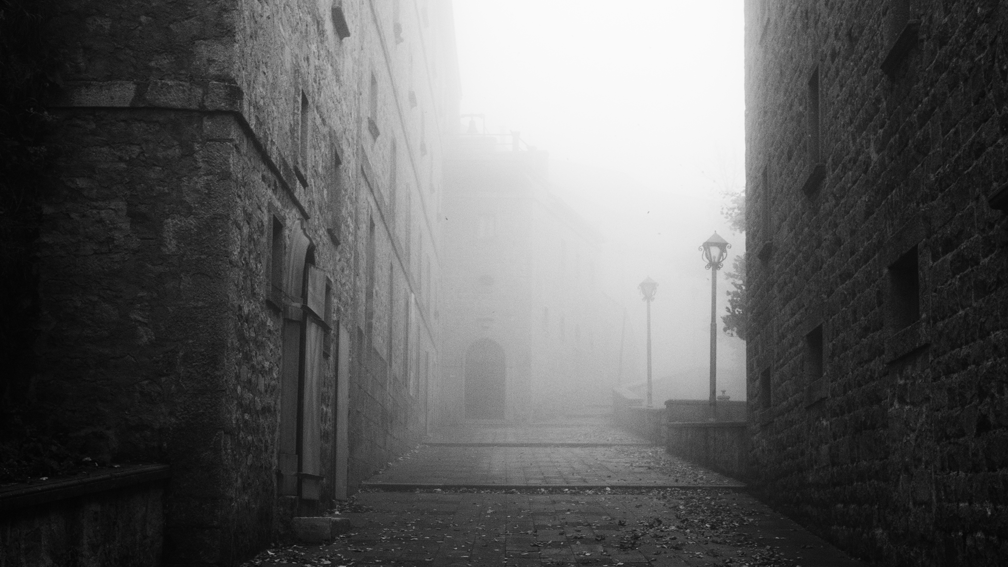 Silent Echoes: Abandoned Houses in the Fog