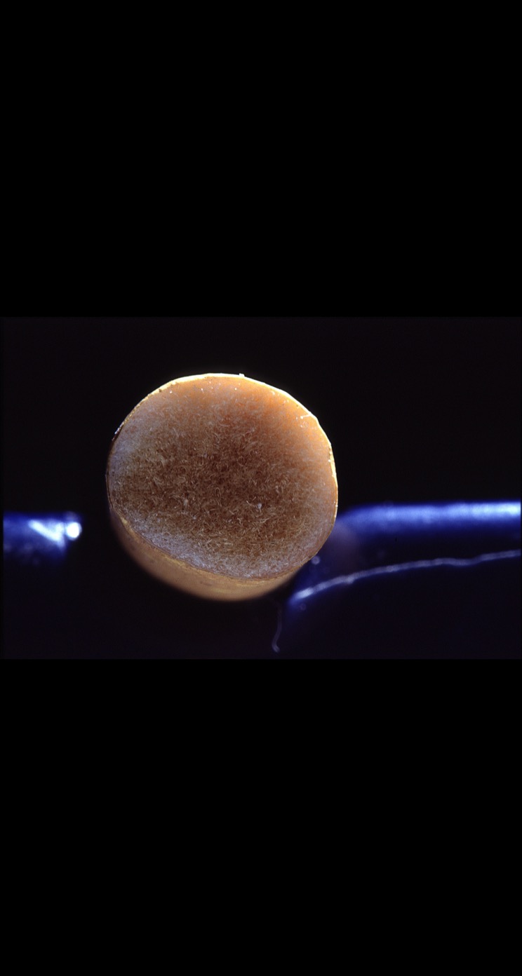 Cet obscur objet du désir