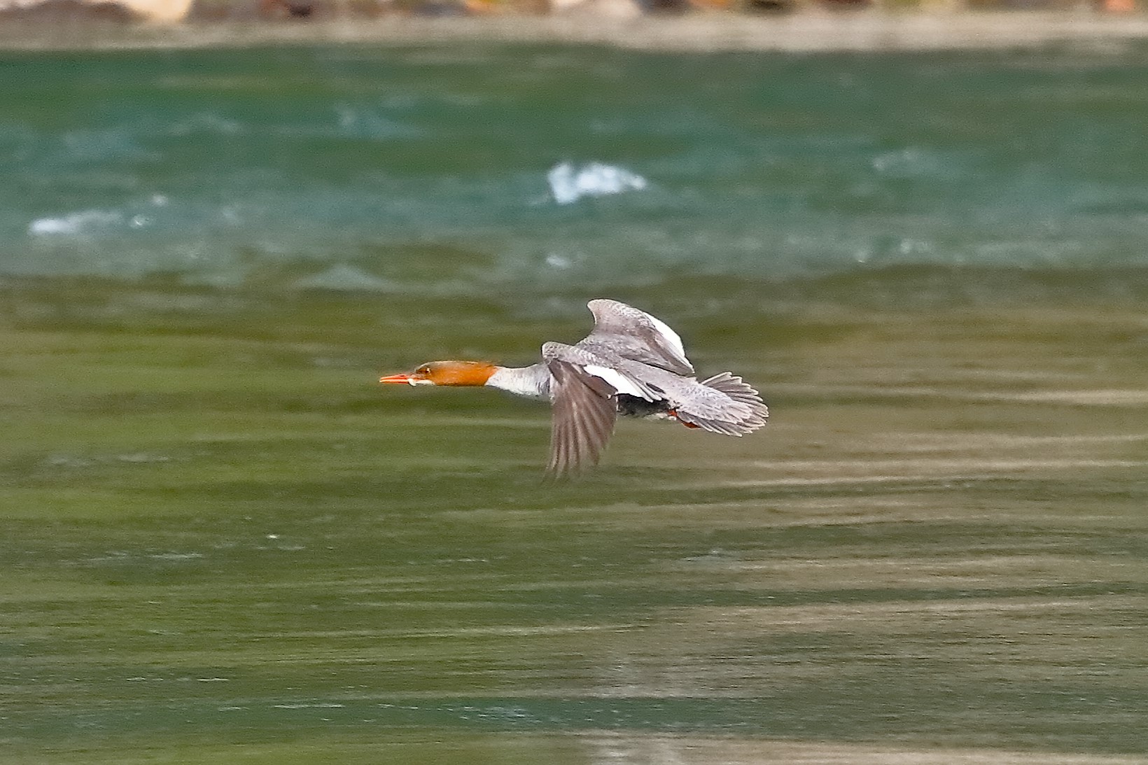 Smergo 08 maggio 2023