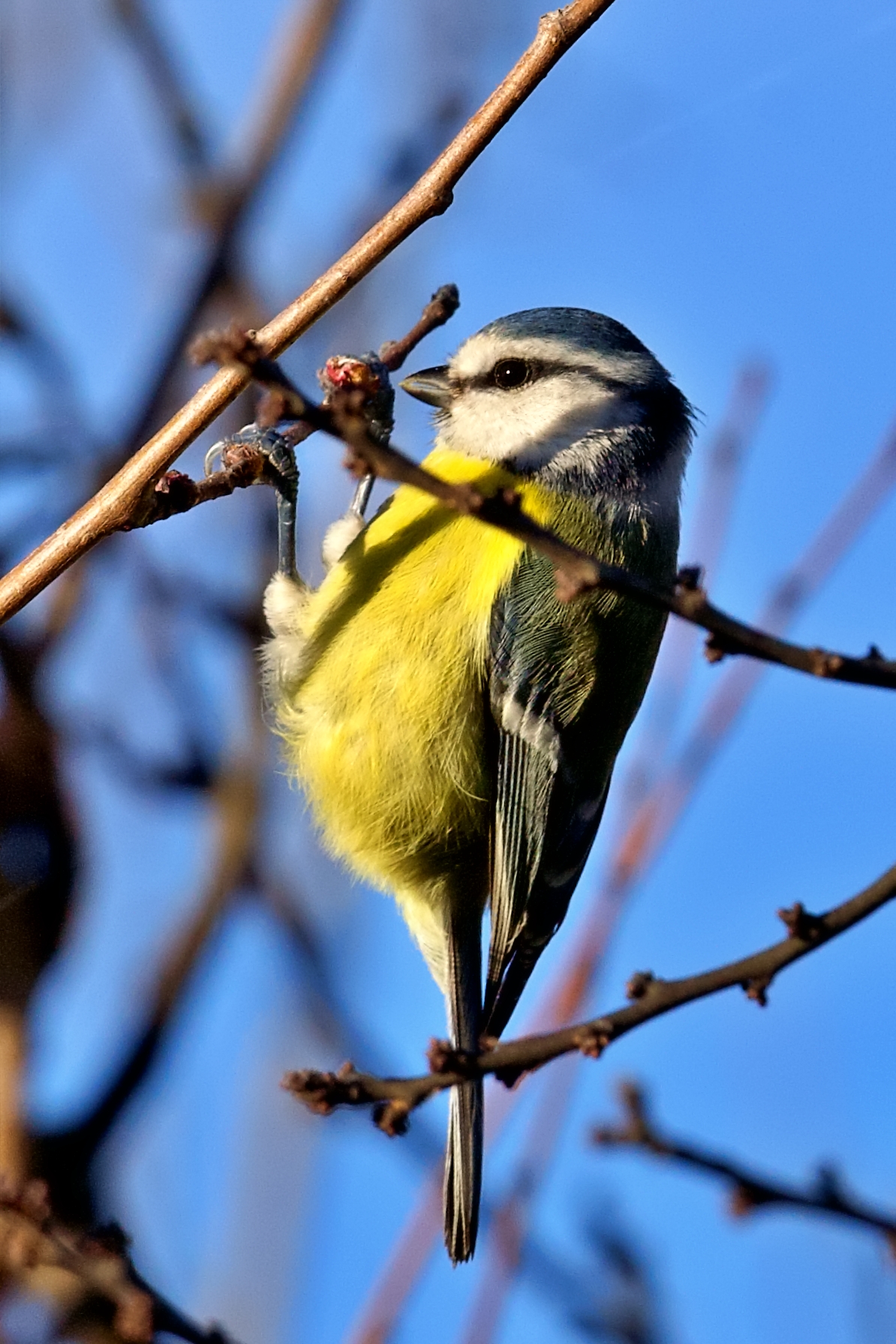 Guarda come dondolo!!!