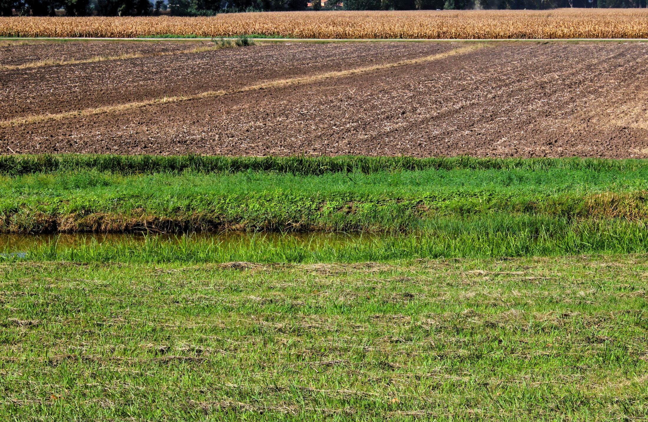 I campi di Massaciuccoli
