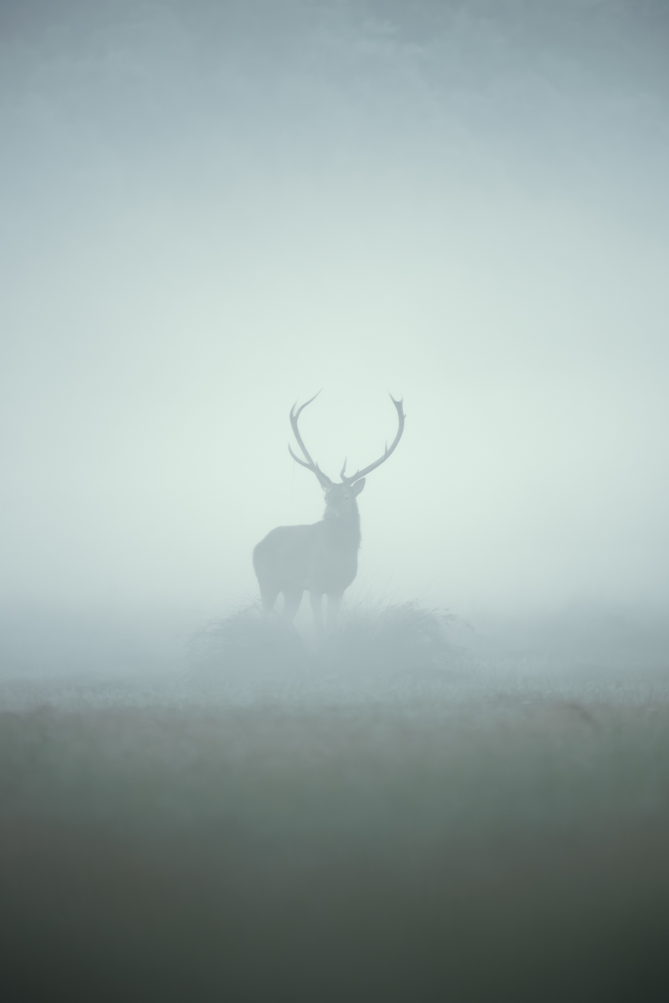 The bellowing of the Majella