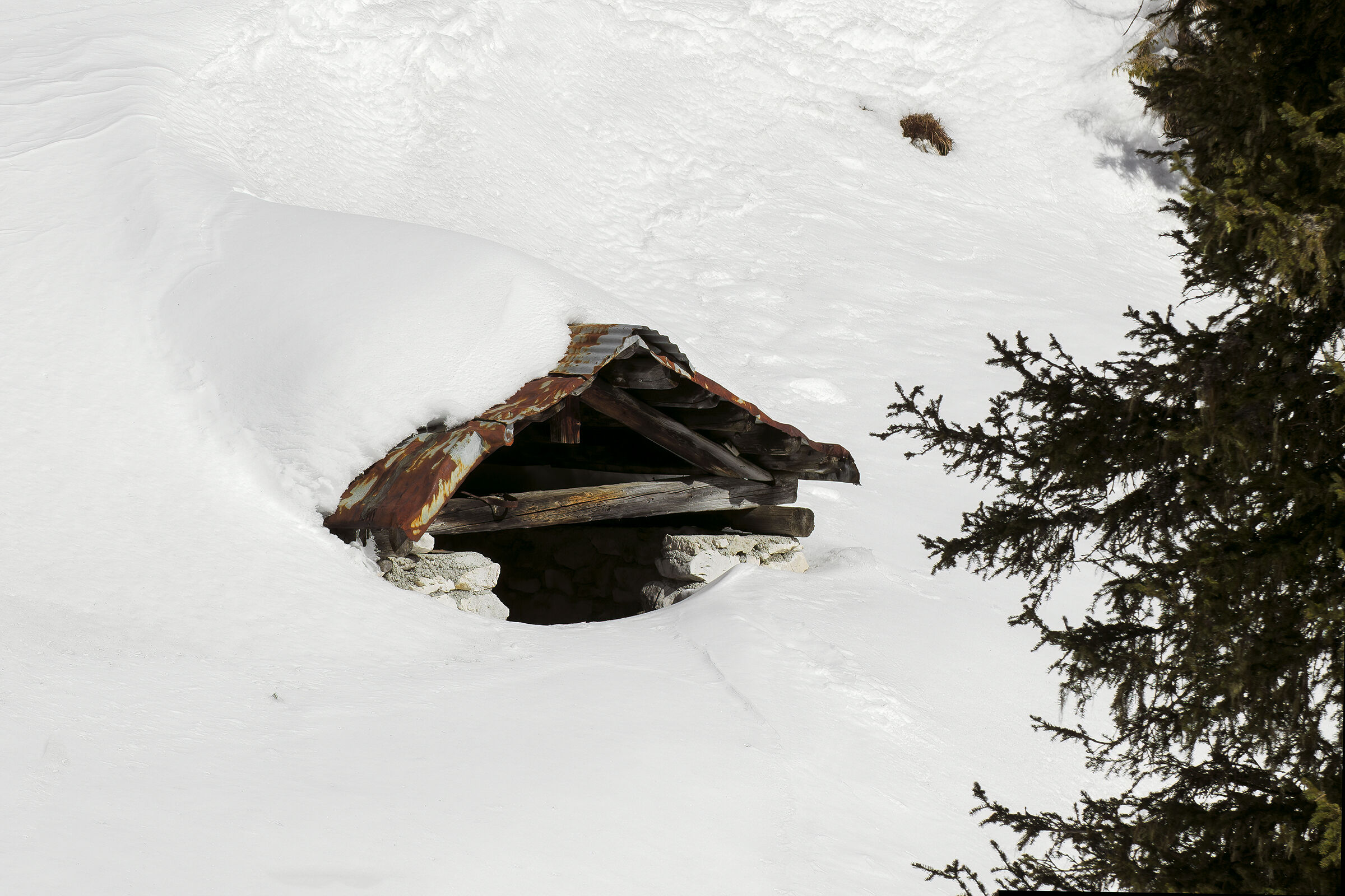 Cercando la porta...