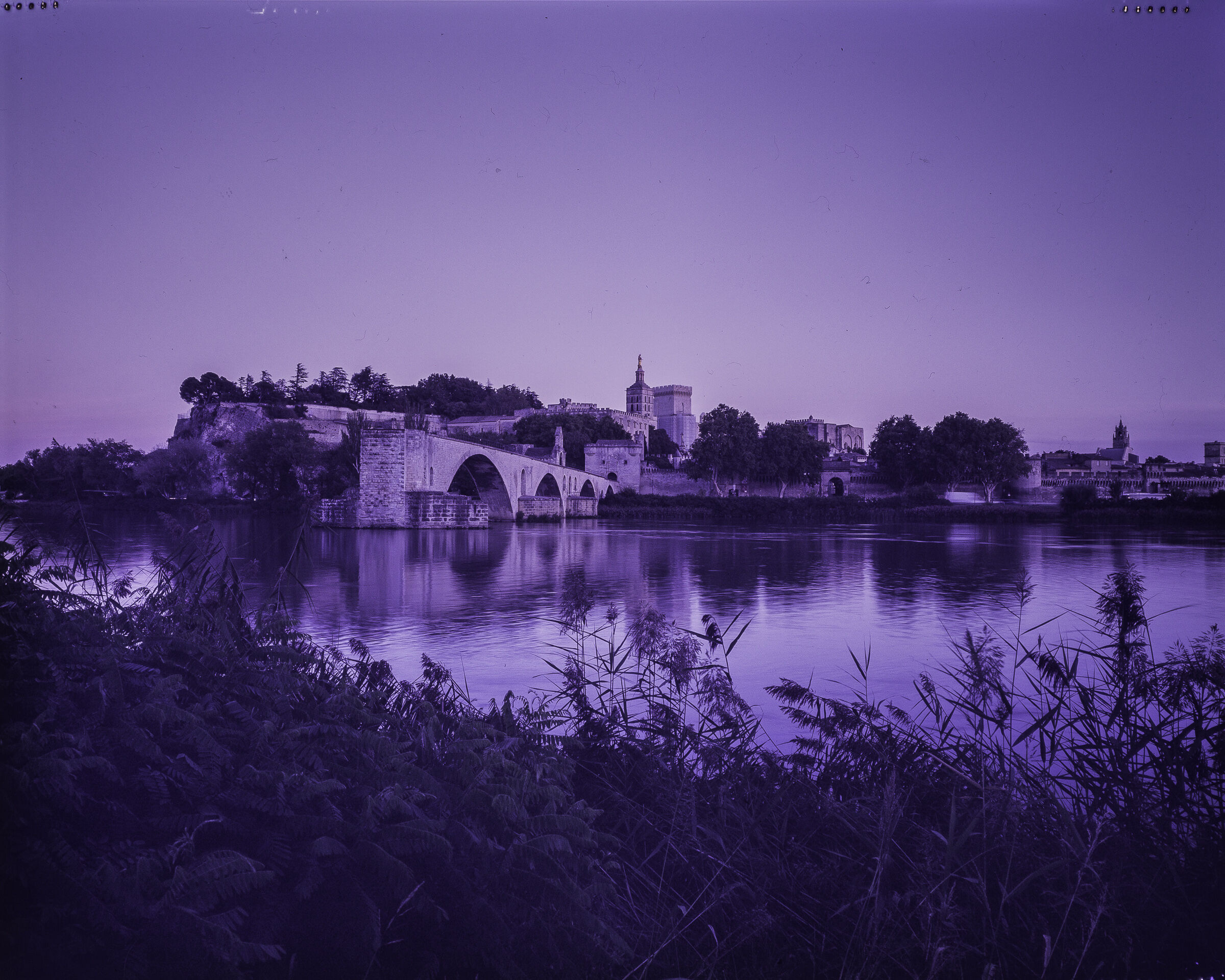Avignon
