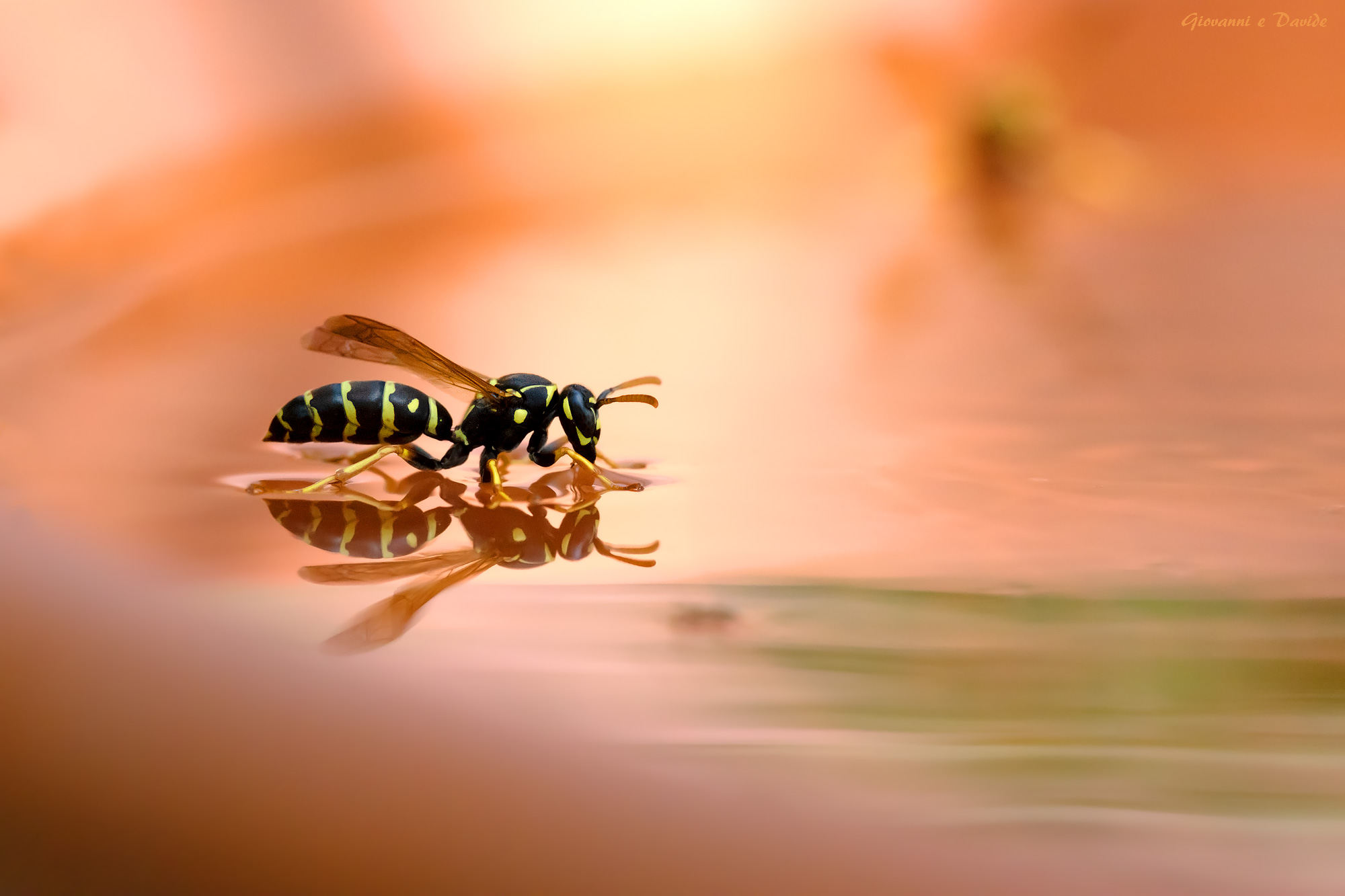 ... The great thirst...