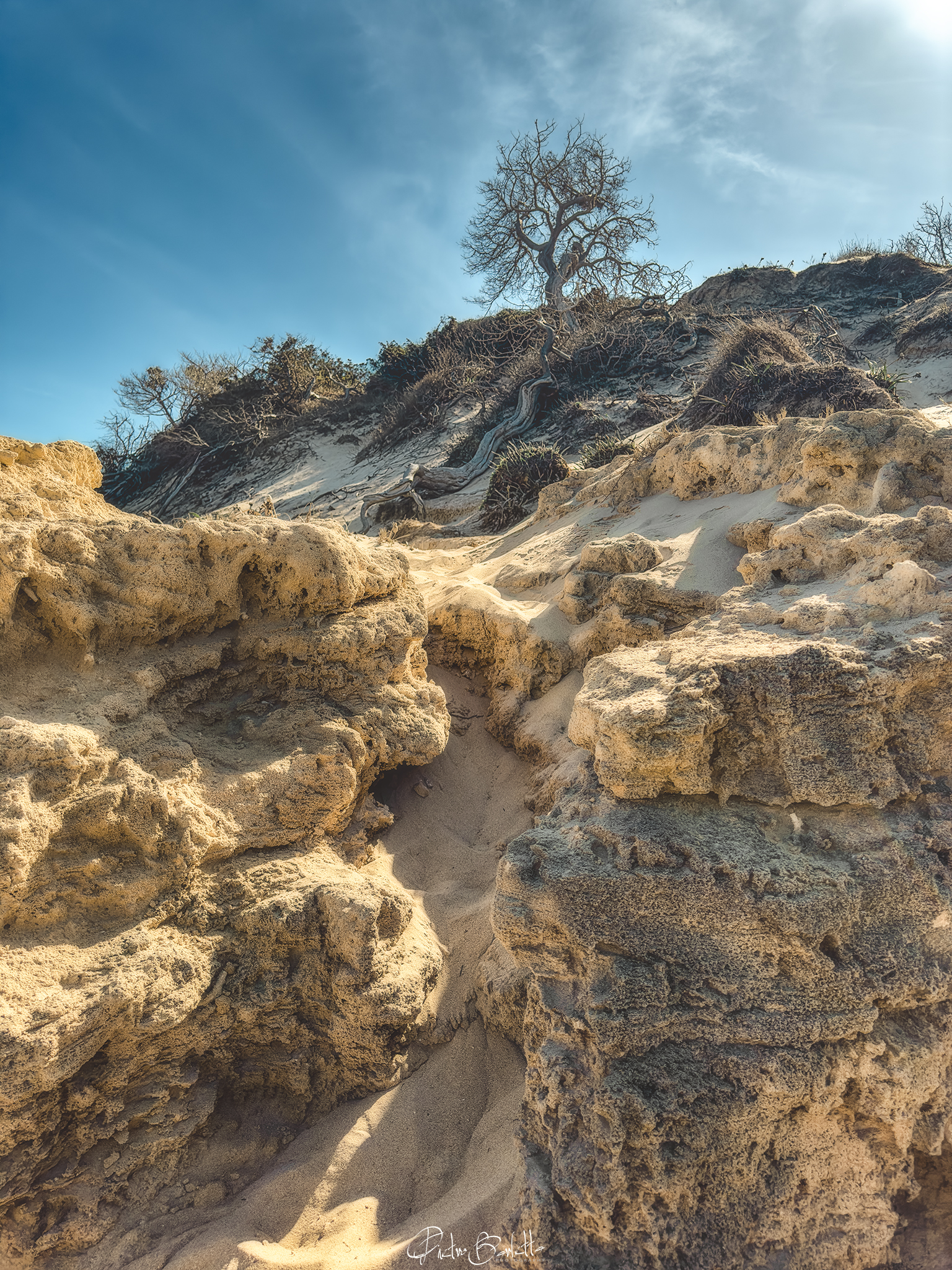 Cliffs of Torre Guaceto