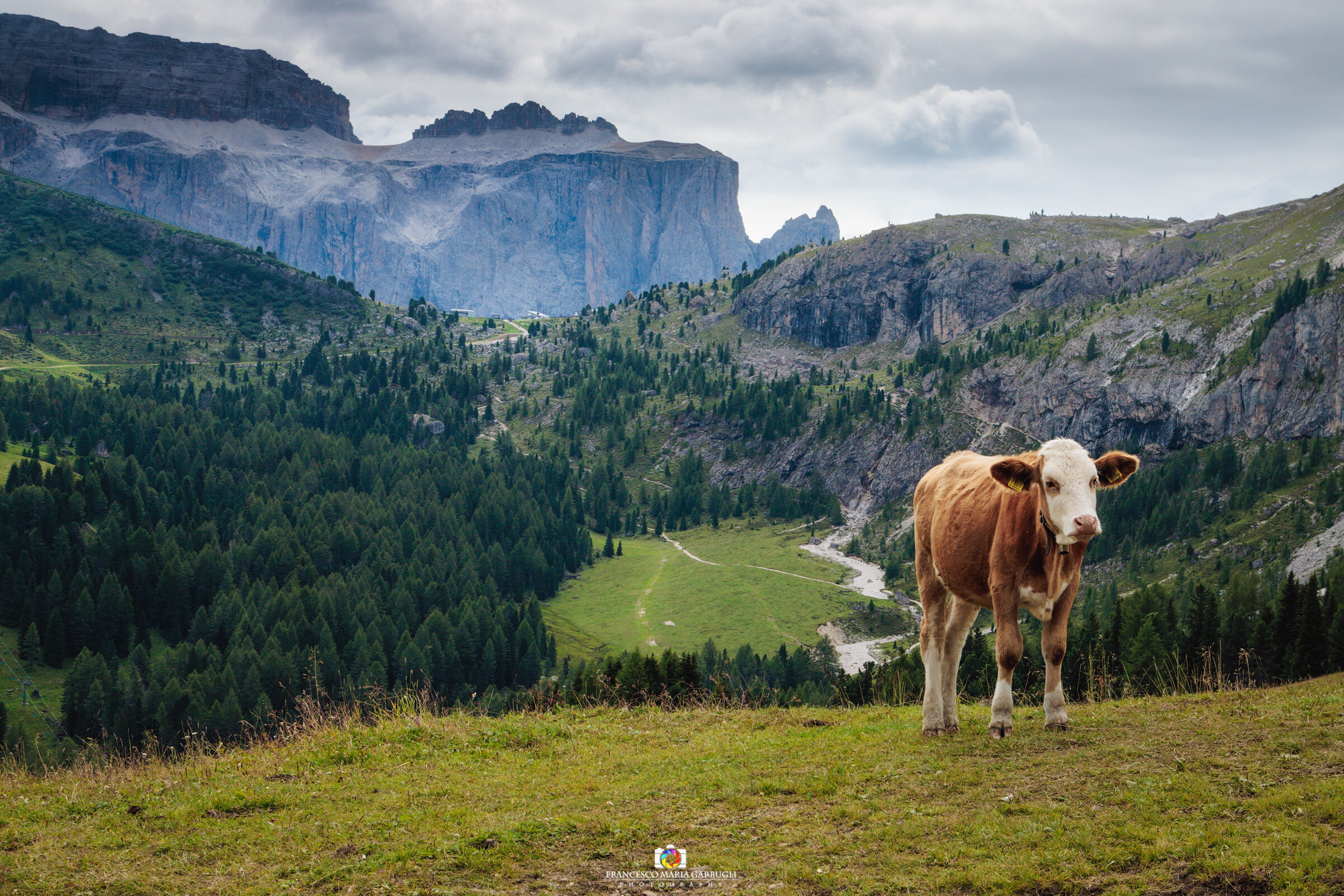 Grazing in paradise.....