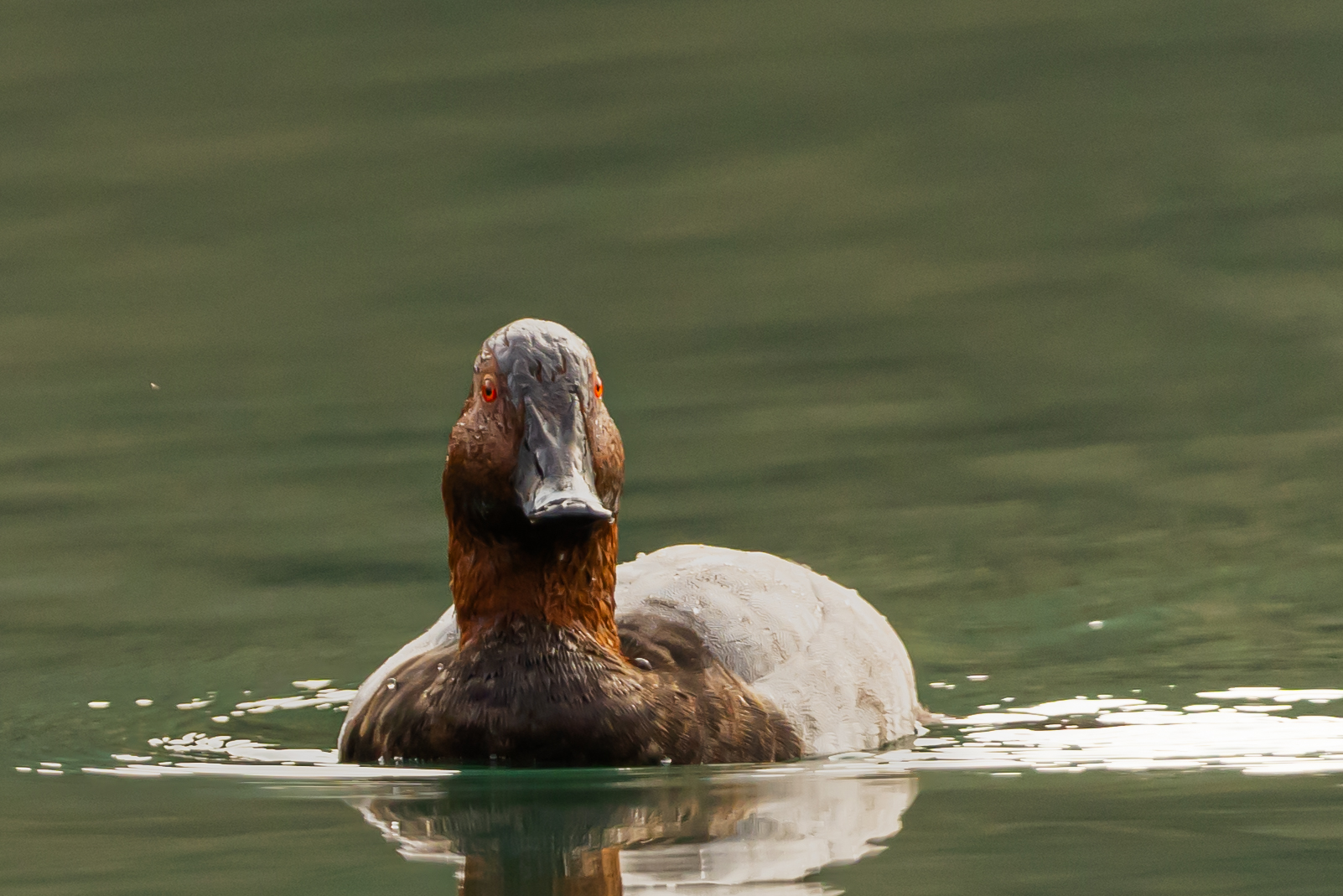 I'm staring at you!!!