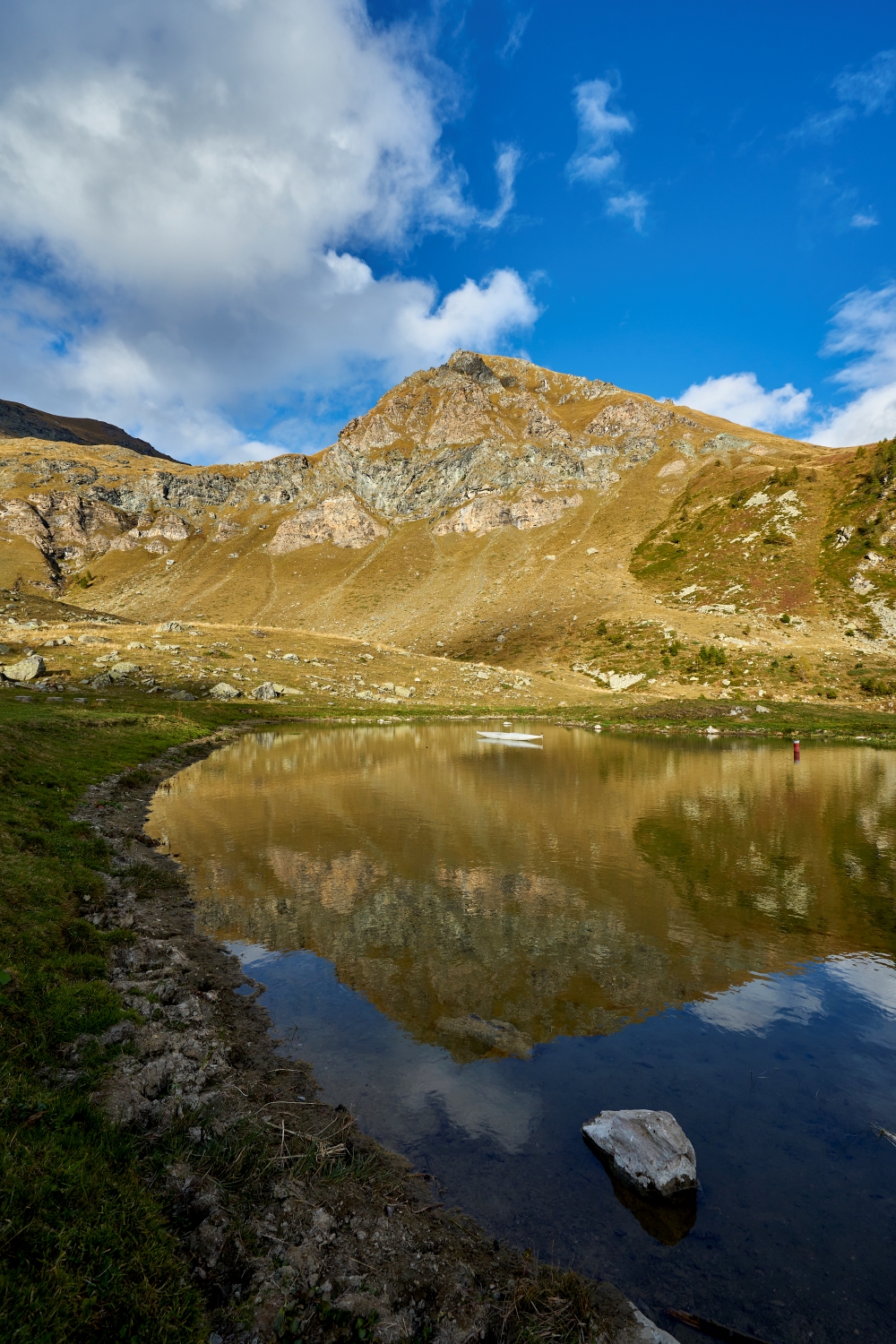 The pond of the Selleries Refuge