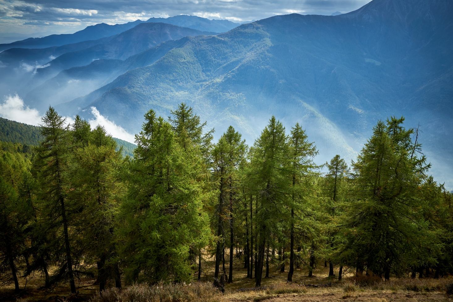 Uno sguardo verso la valle