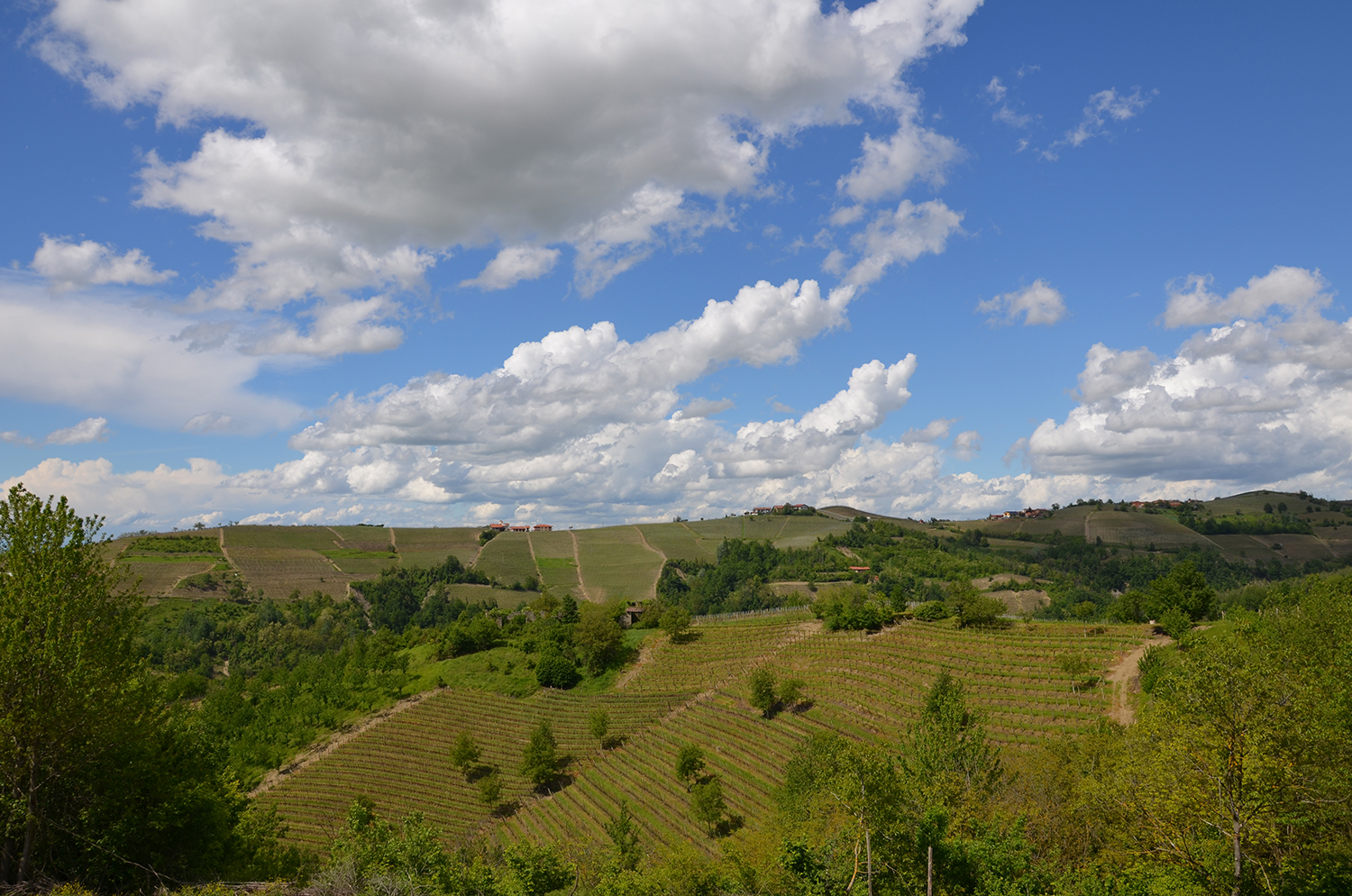 Landscape of Langa ...