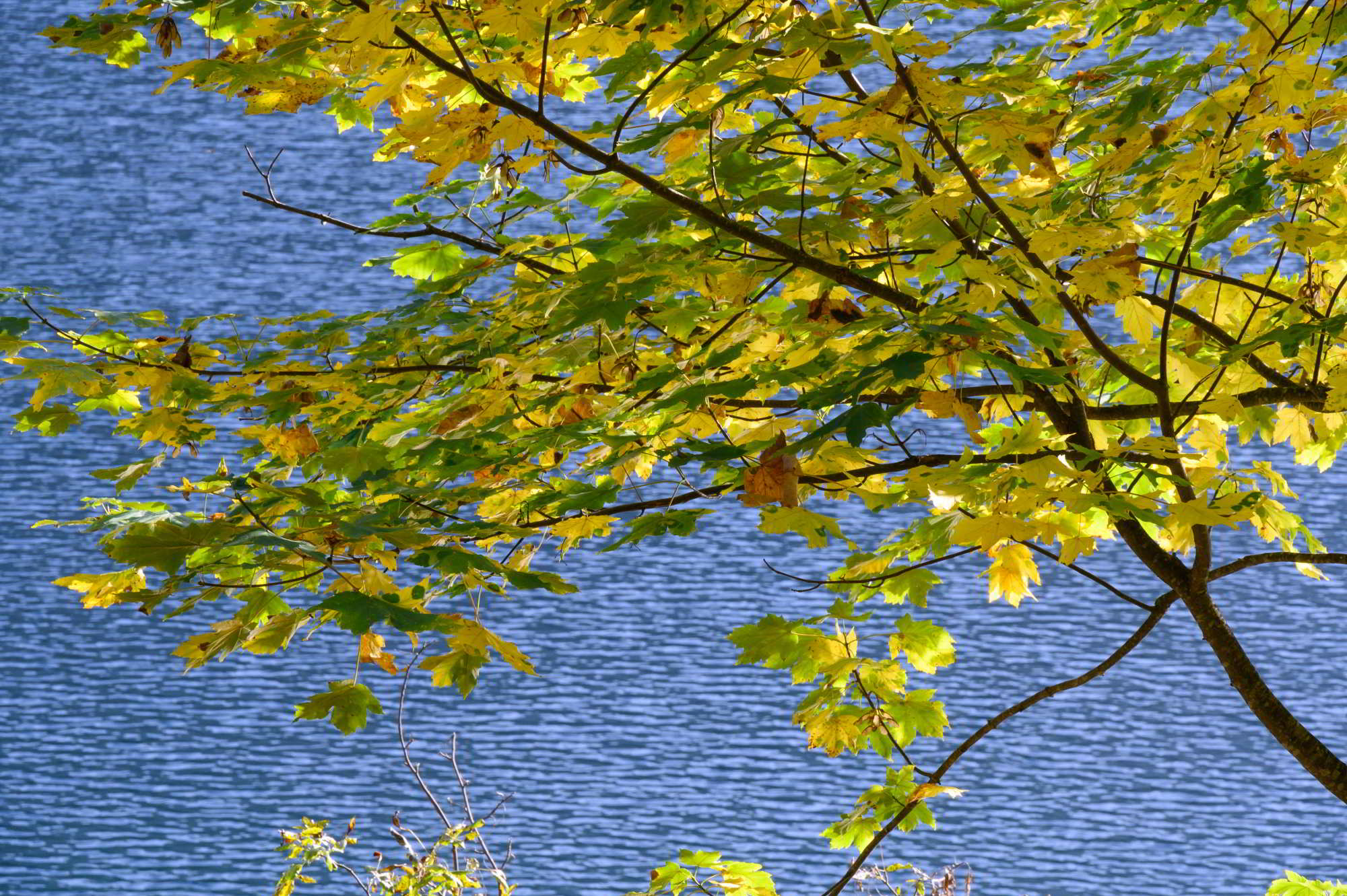 Lago di Tovel (Tn) 12.10.23