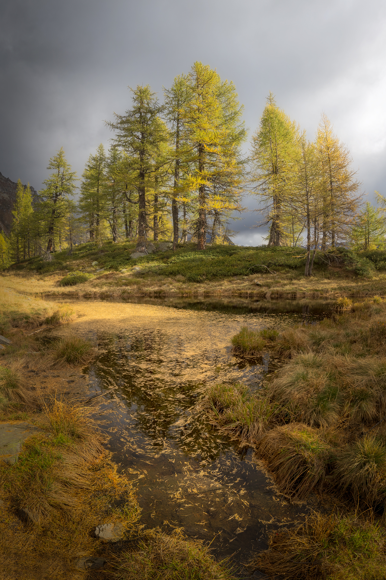 L'oro d'autunno (2 parte)