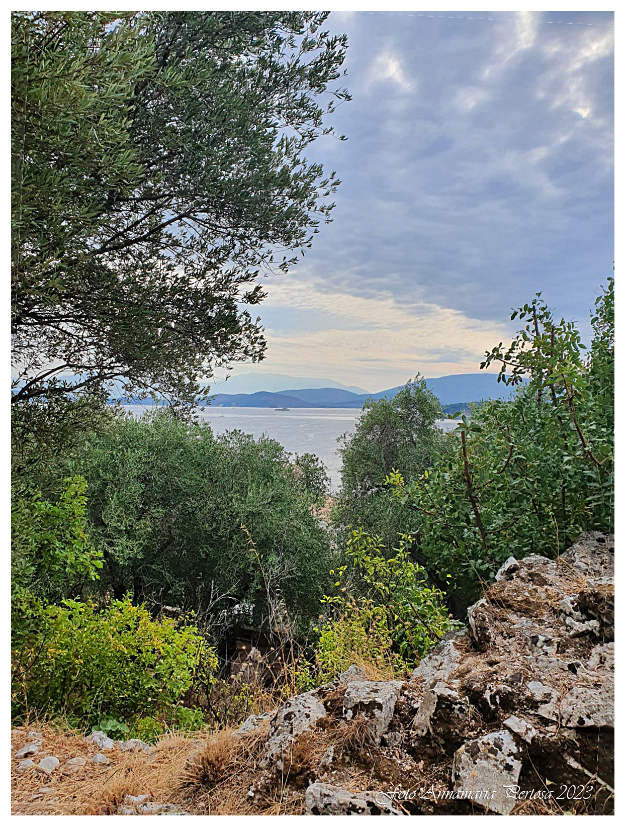 Sun, sea and boat trips