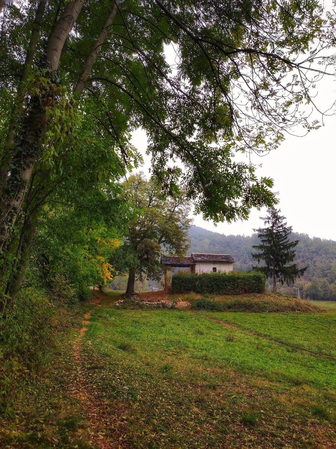 La chiesetta ai margini del bosco