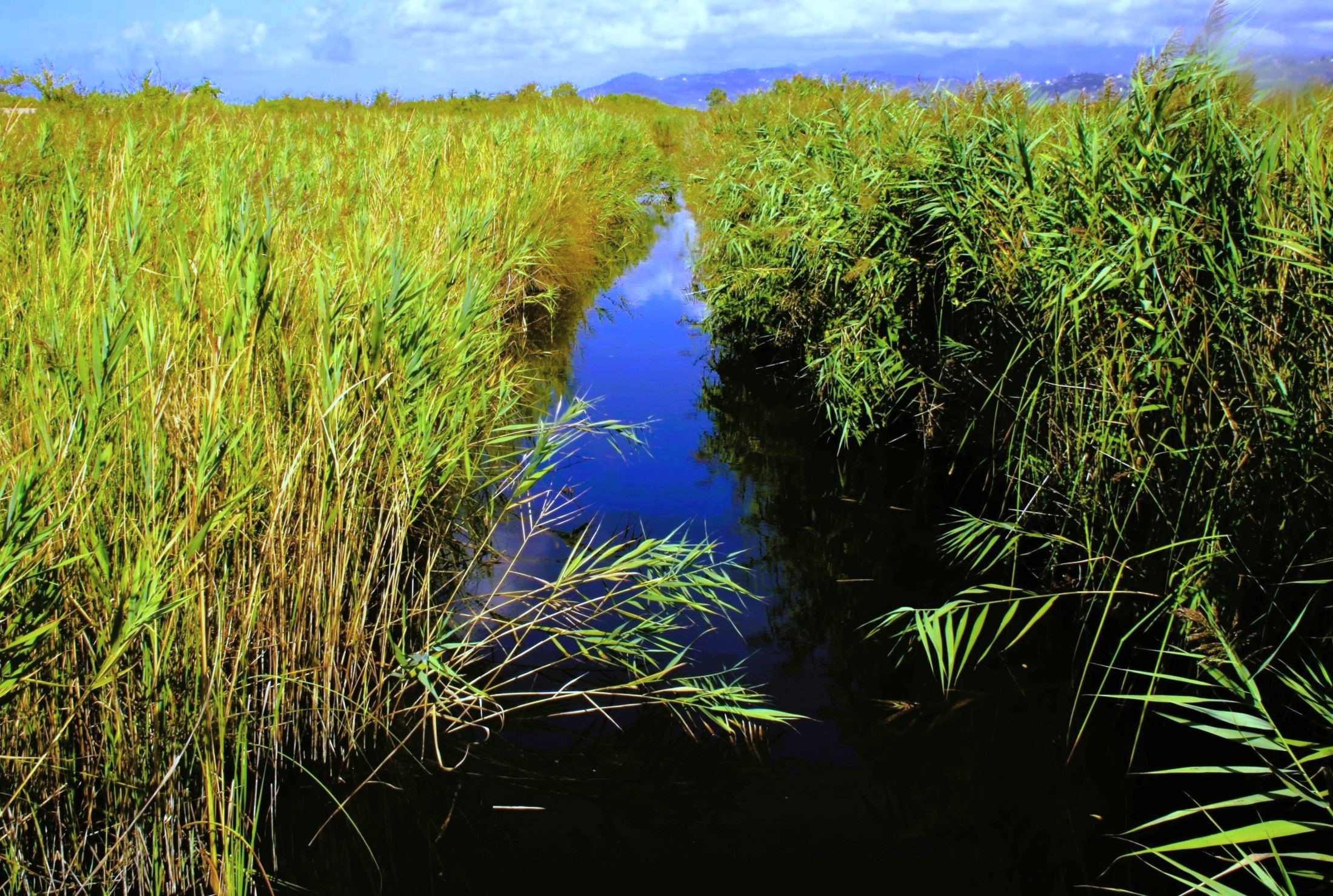Il canale