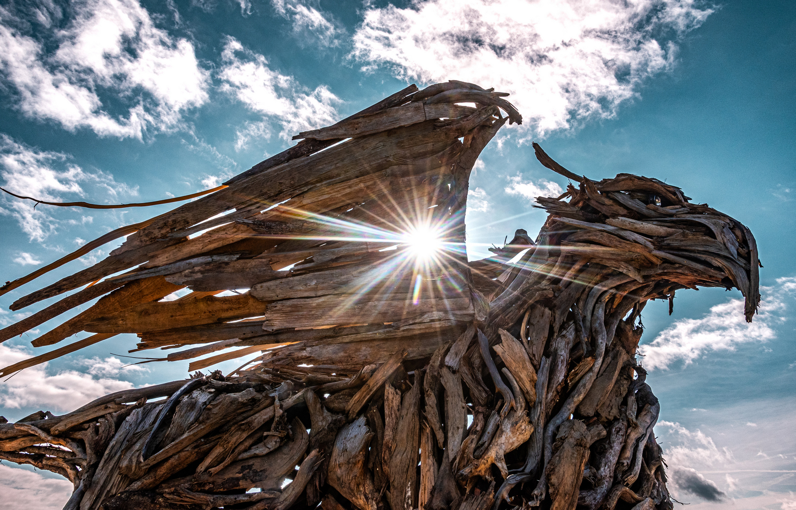 Il Grifone di Vaia al Celado I