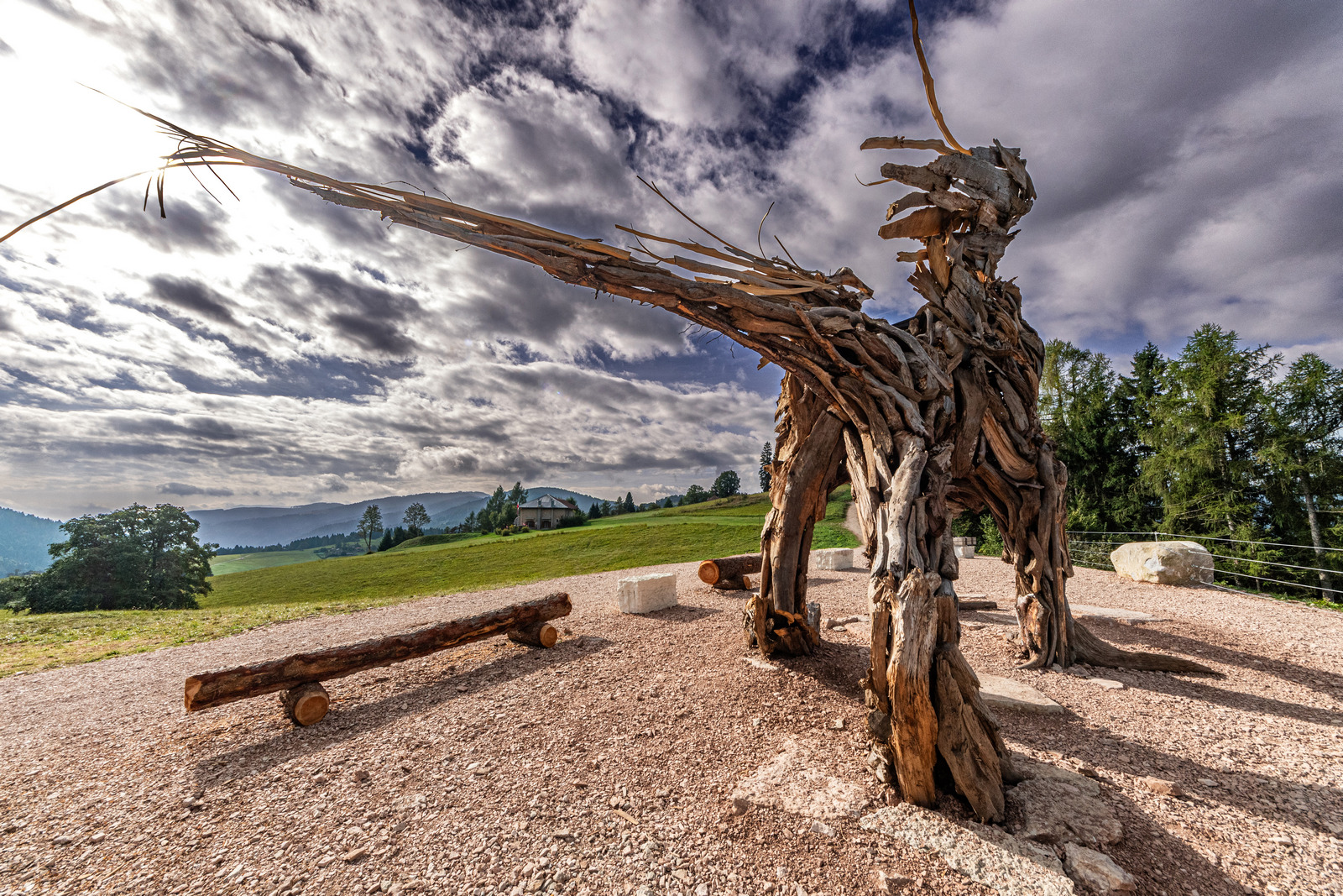 Il Grifone di Vaia al Celadi III