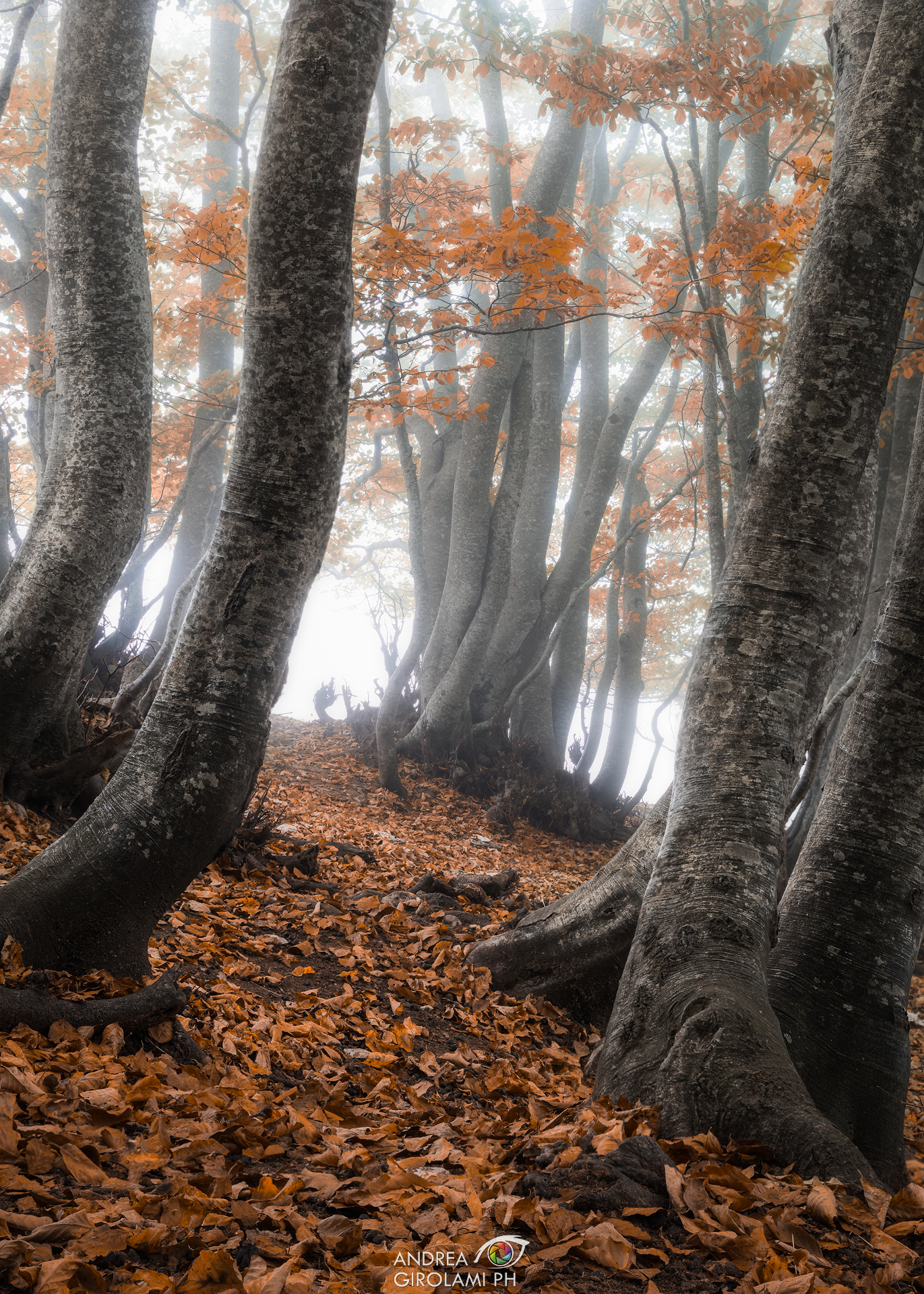 San Giacomo, Mountain of Flowers - Abruzzo