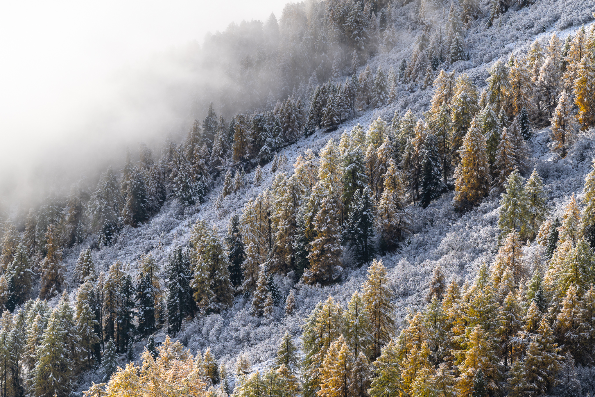 L'inverno che visita l'autunno