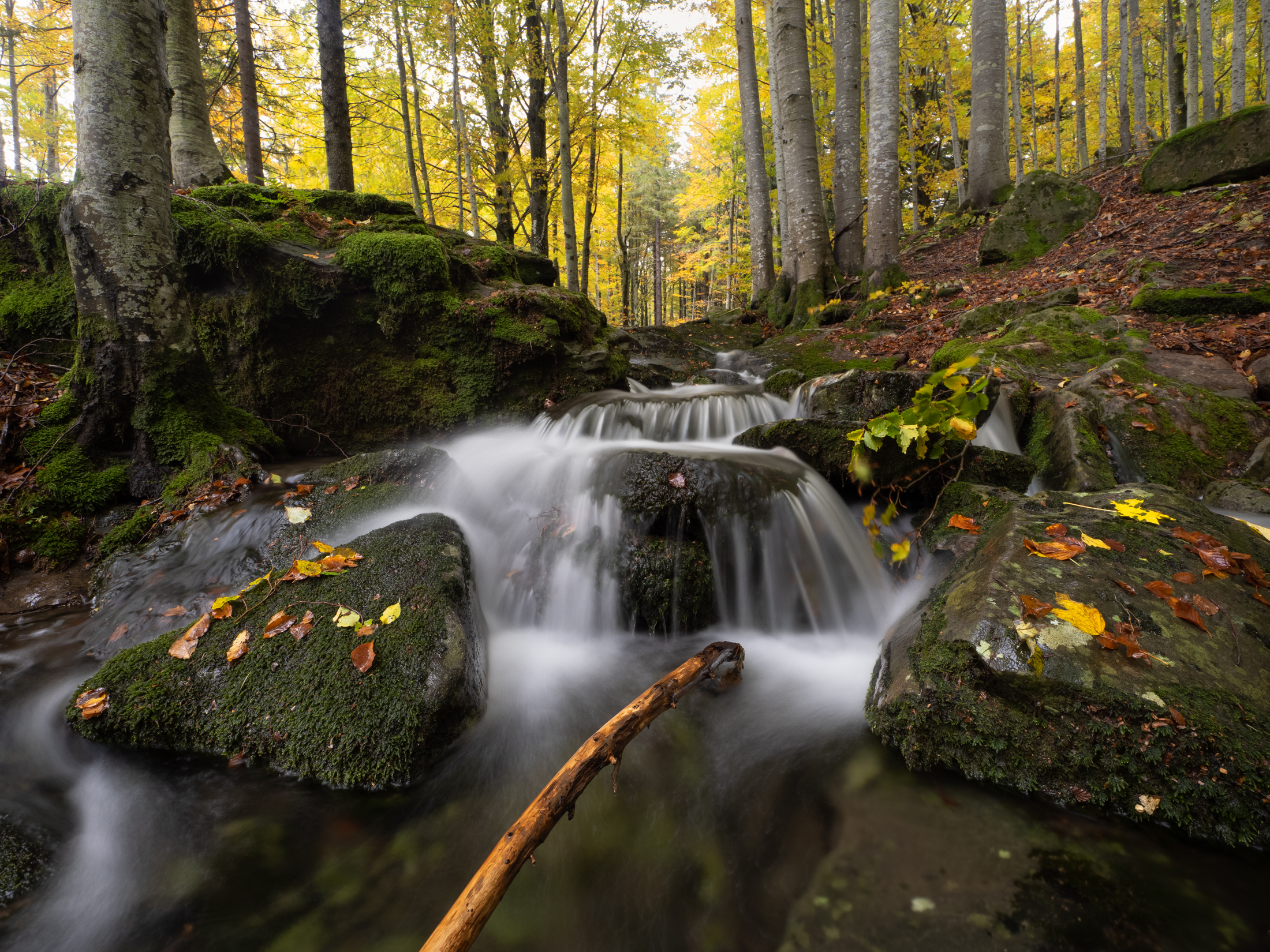 I colori dell'autunno