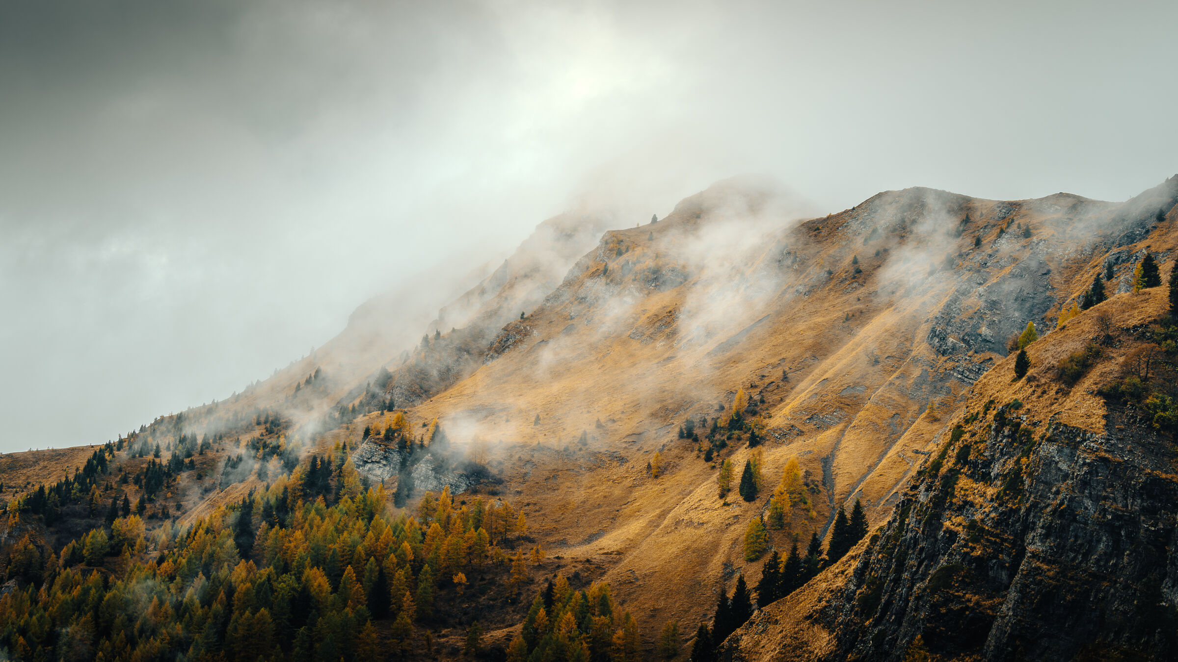 Tuxedo mountain