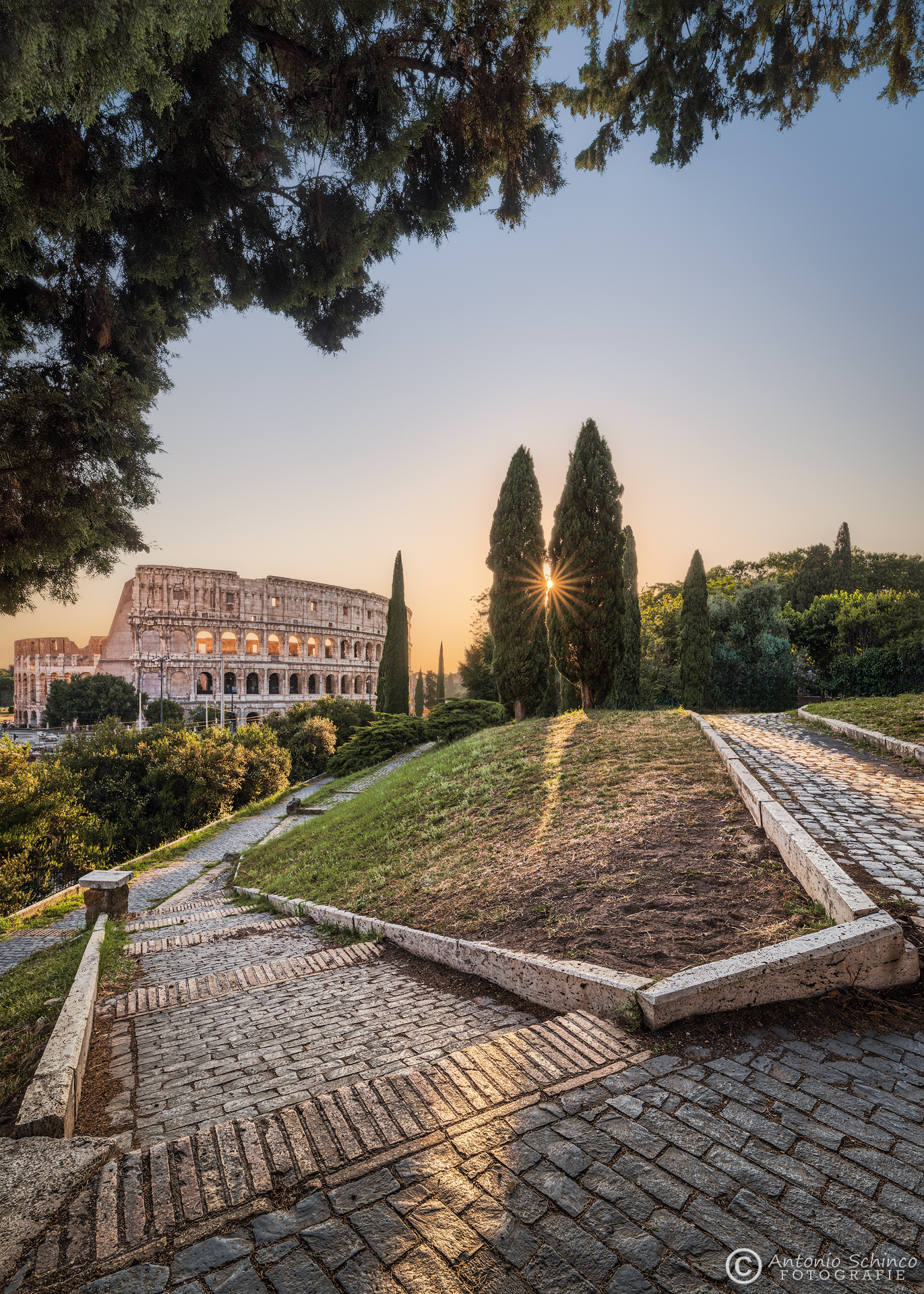 Il Colosseo dai Giardini del Colle Oppio
