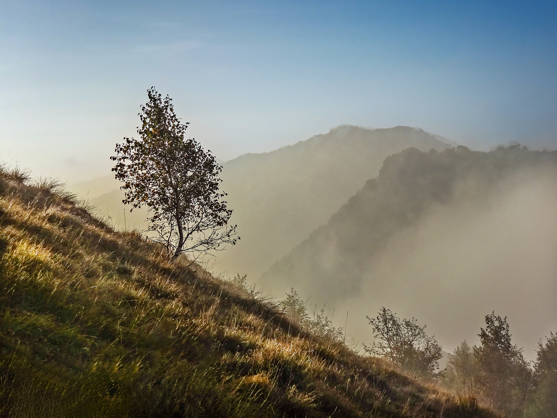 Alone in the fog