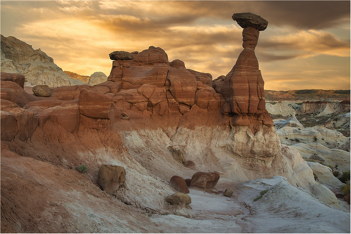 Toadstools nel cuore delle Vermillon Cliffs