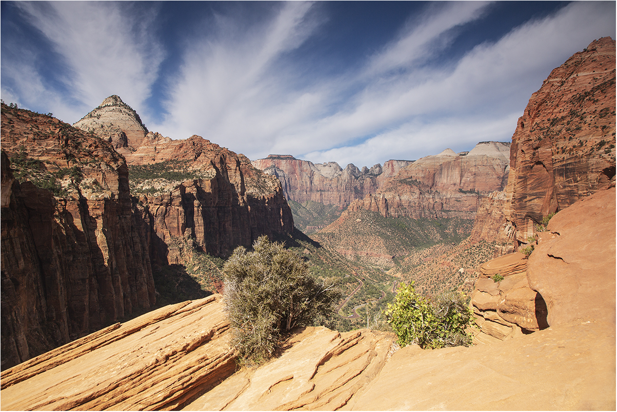 uno sguardo sul canyon: Zion National Park