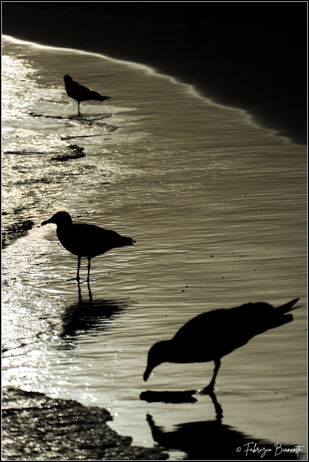 Con le zampe a mollo